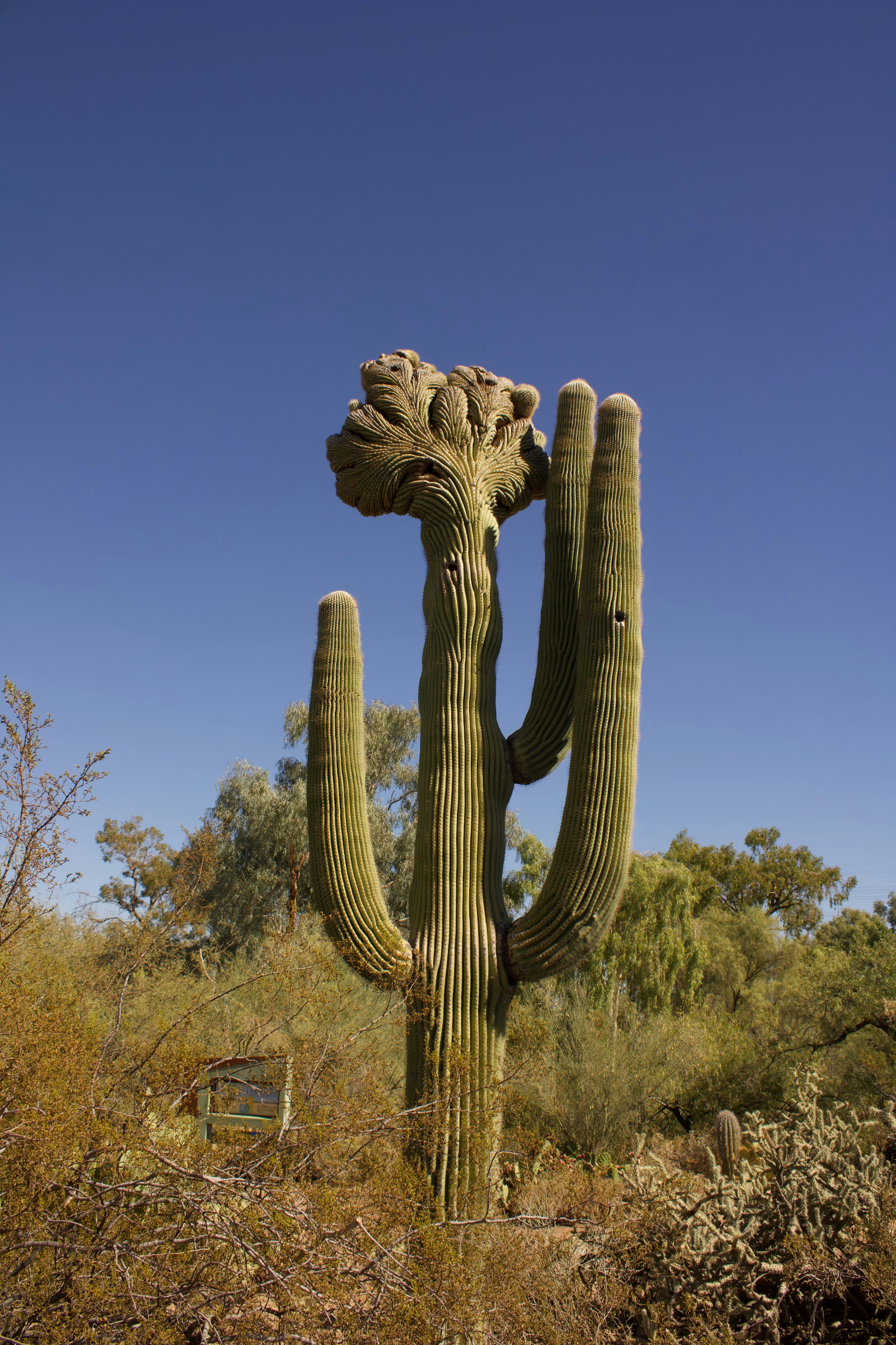 Photo by am_photography13