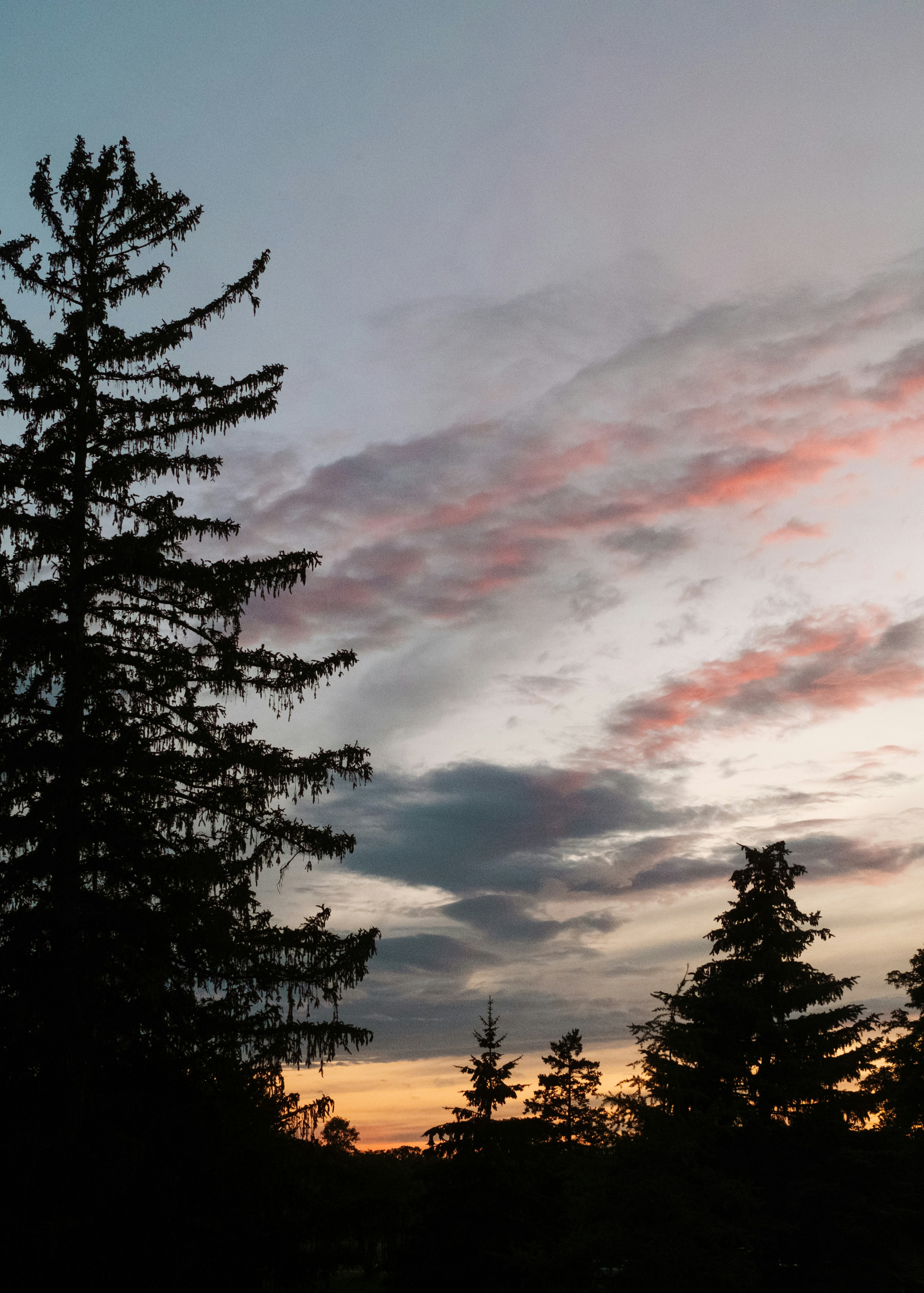 Photo by jamiecooper