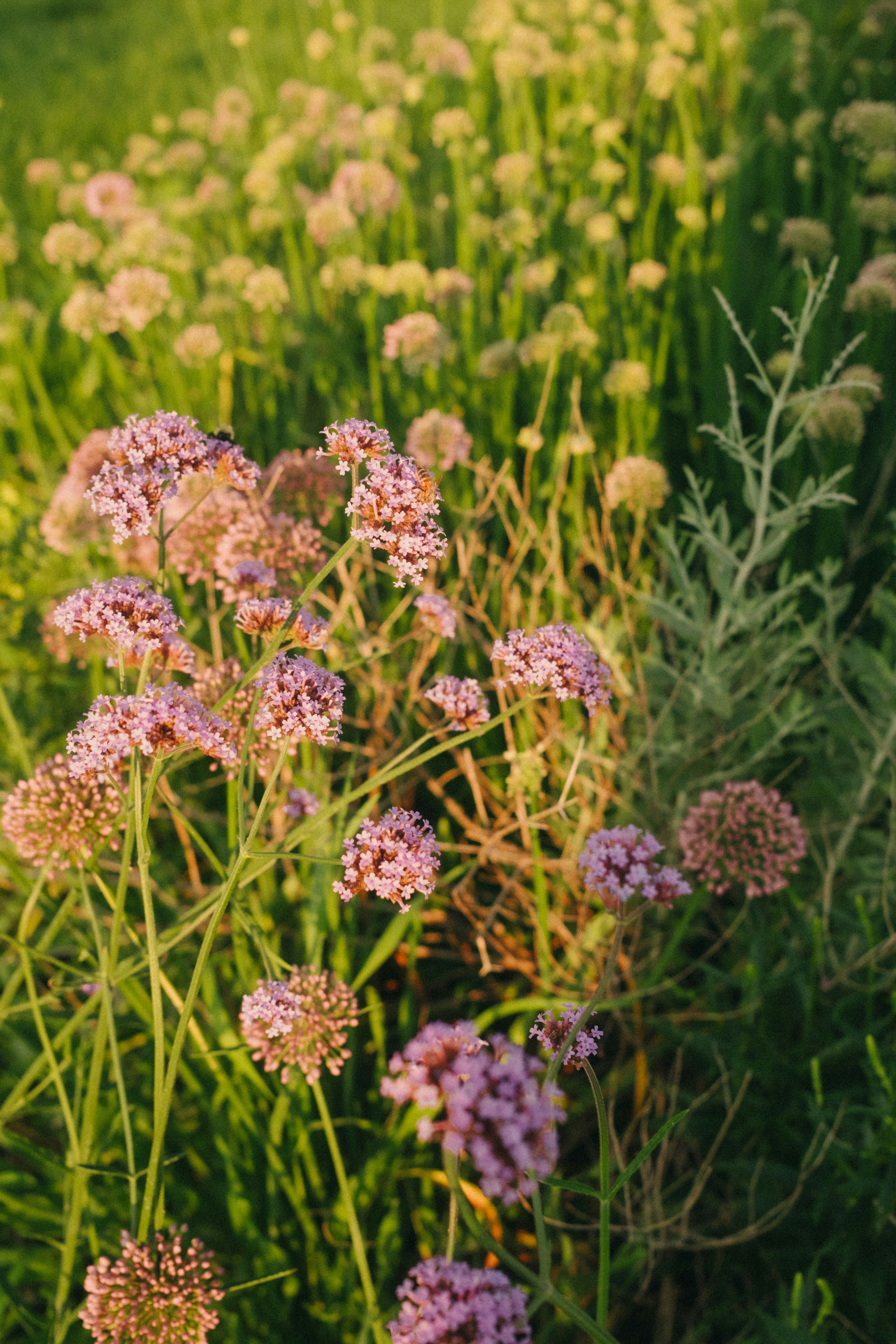 Photo by jamiecooper