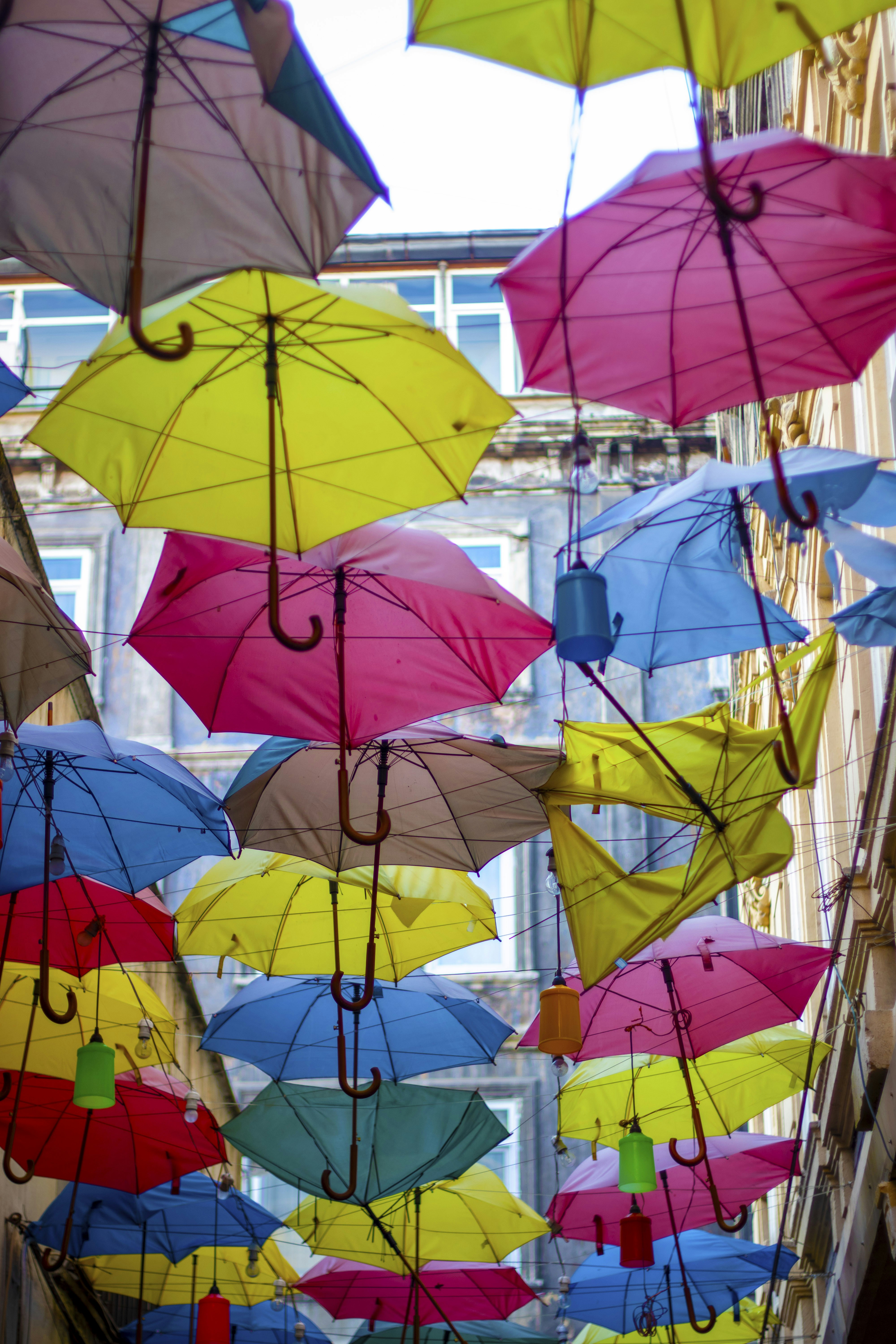 Photo by servetphotograph