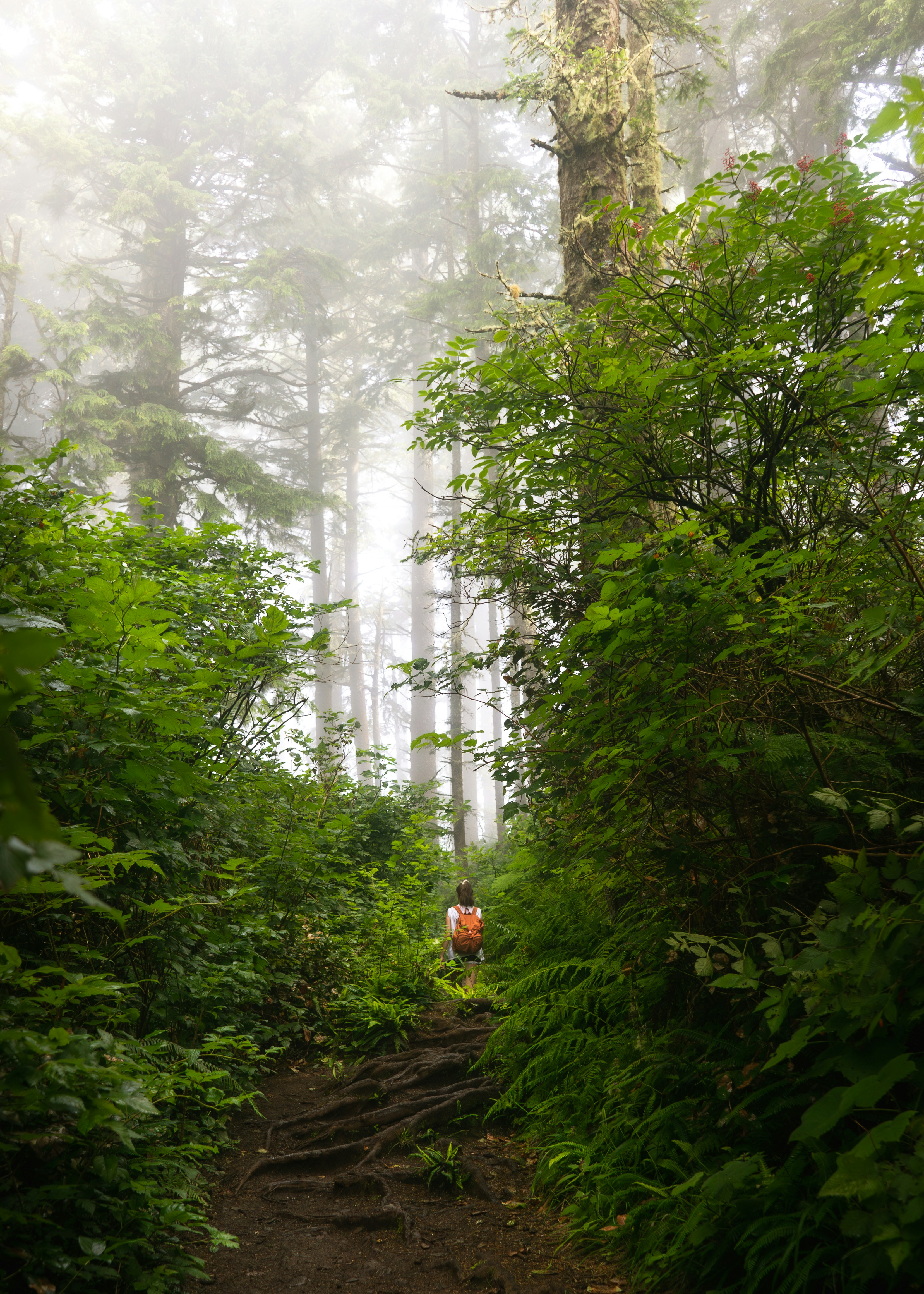 Photo by jamessestric