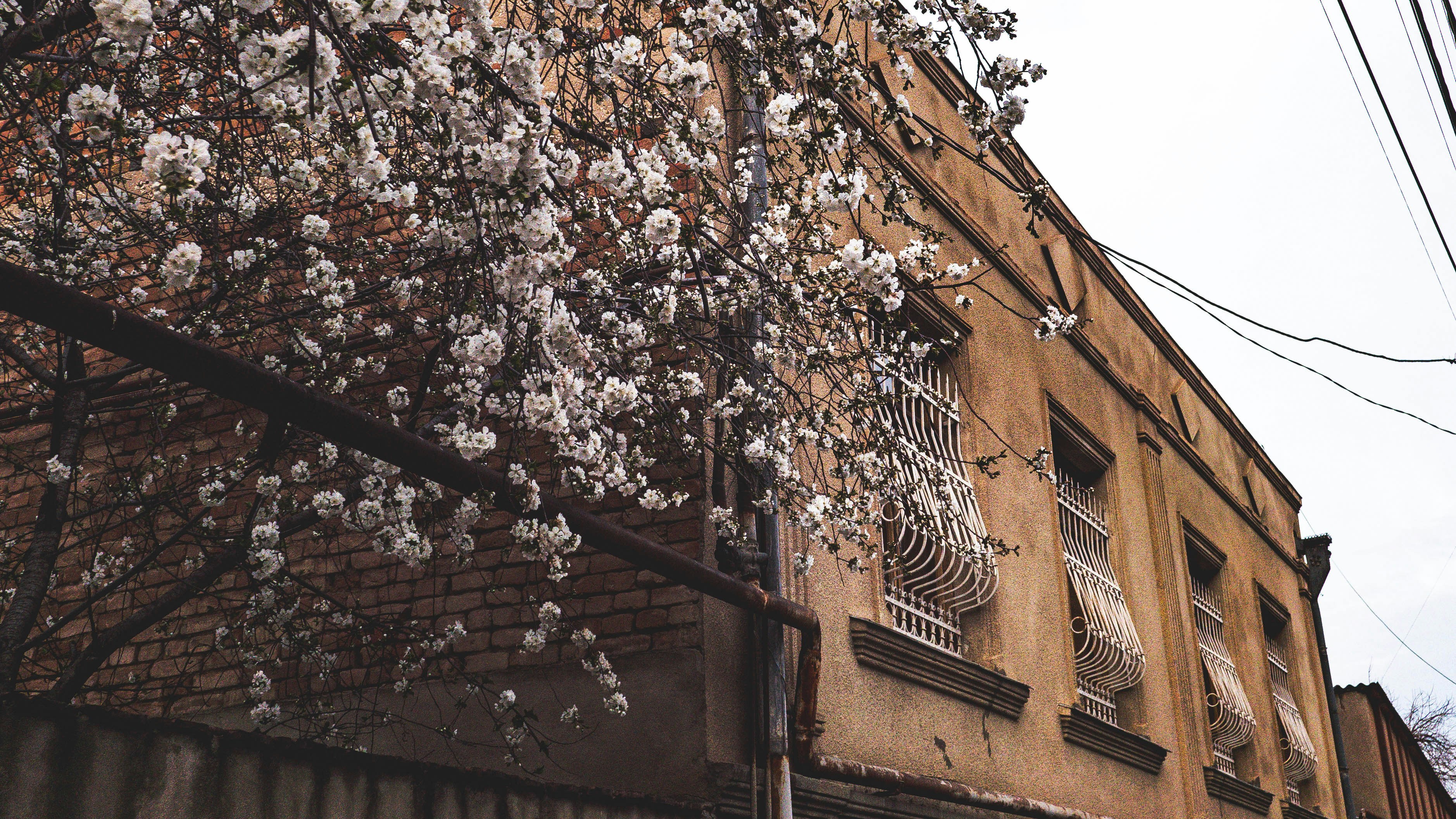 Photo by tototosia