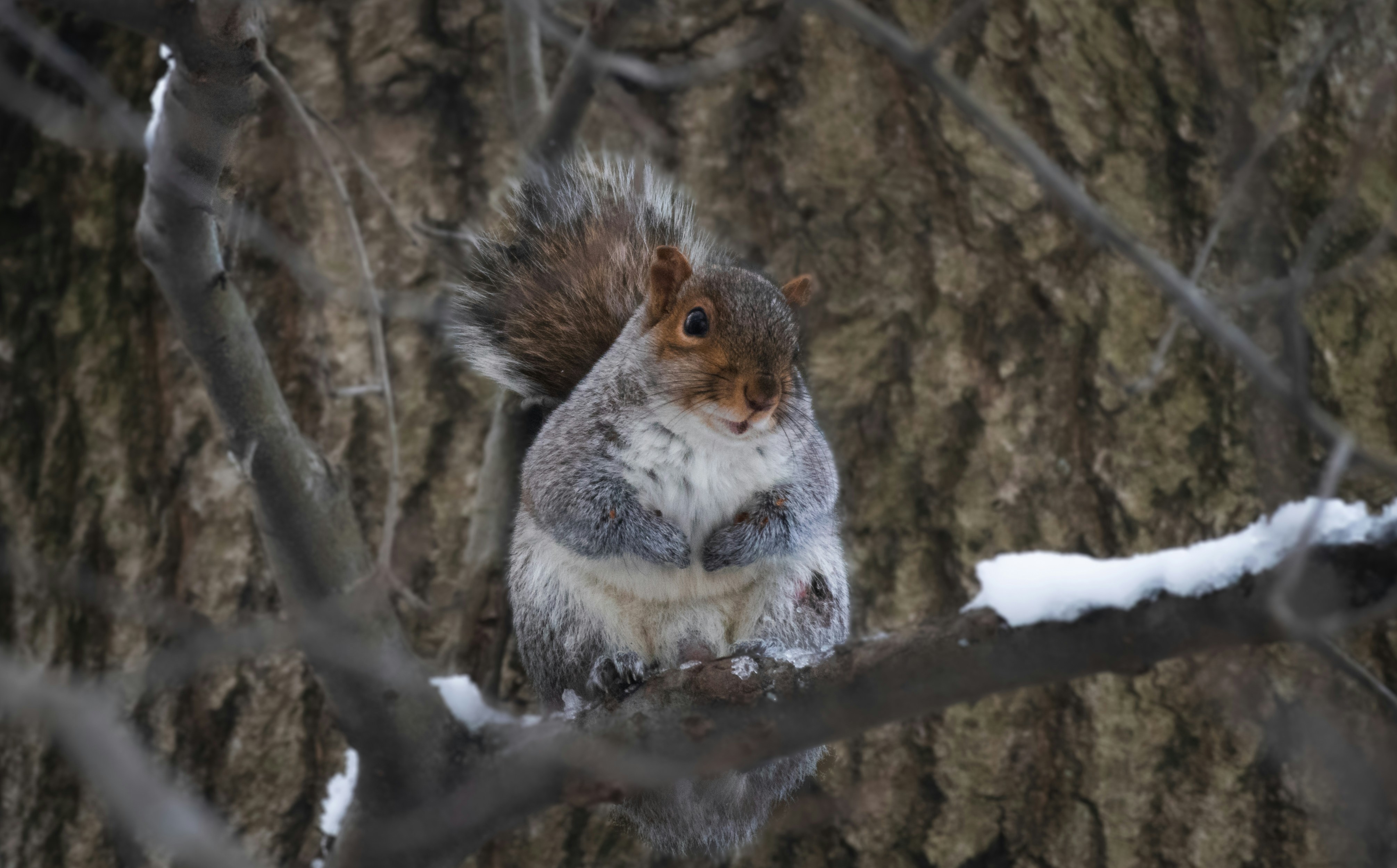 Photo by nature_of_the_experiment