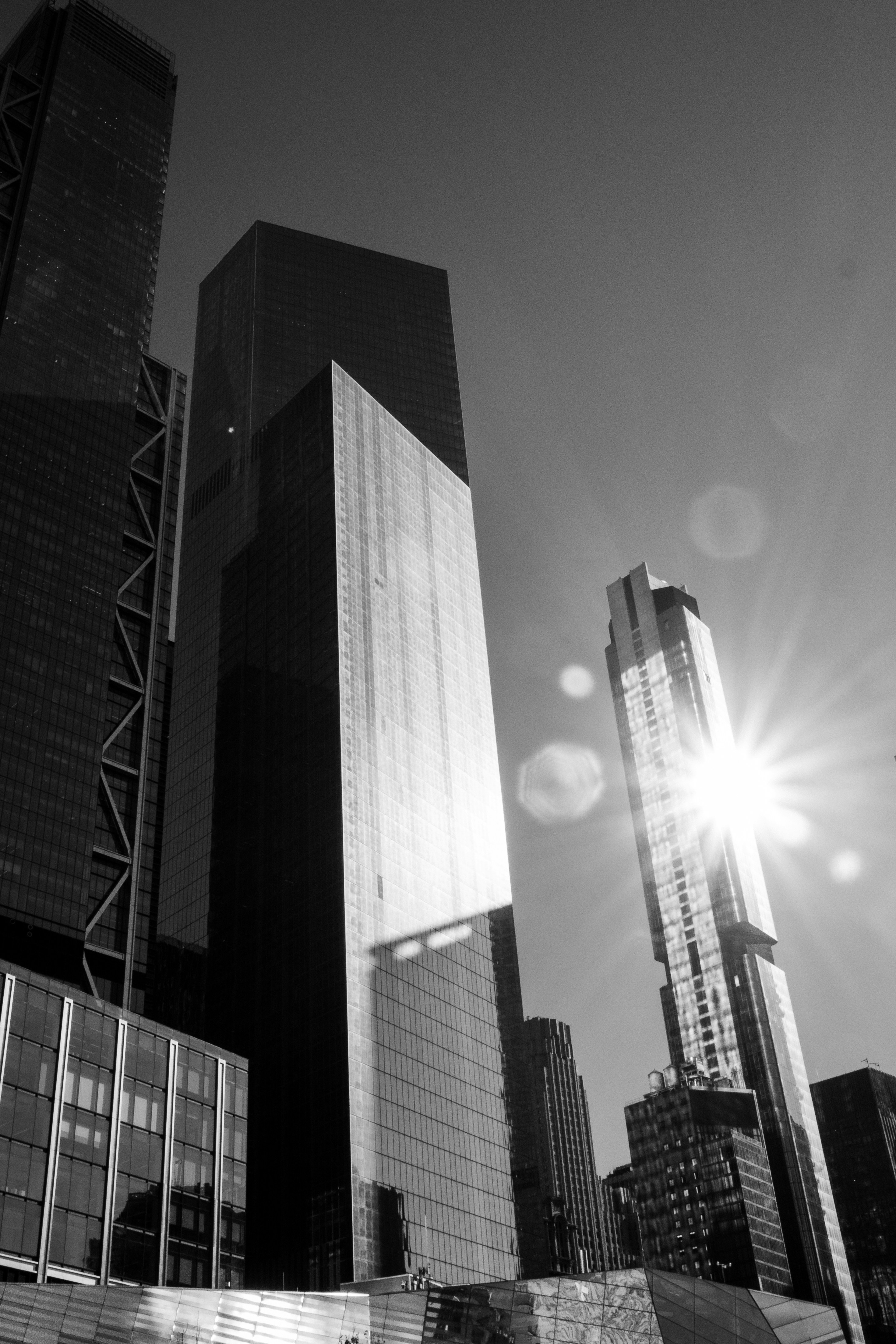 Photo by nature_of_the_experiment