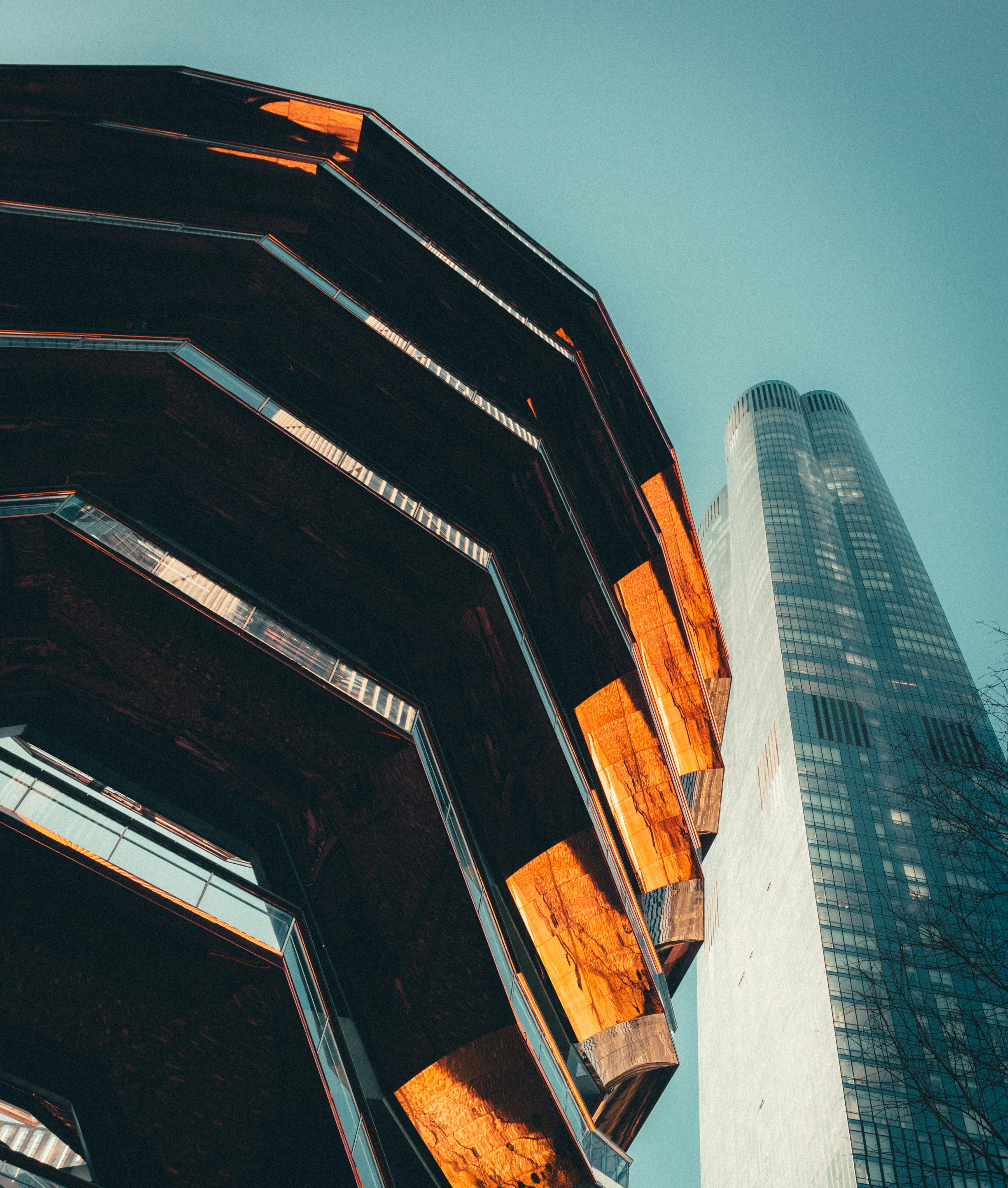 Photo by nature_of_the_experiment