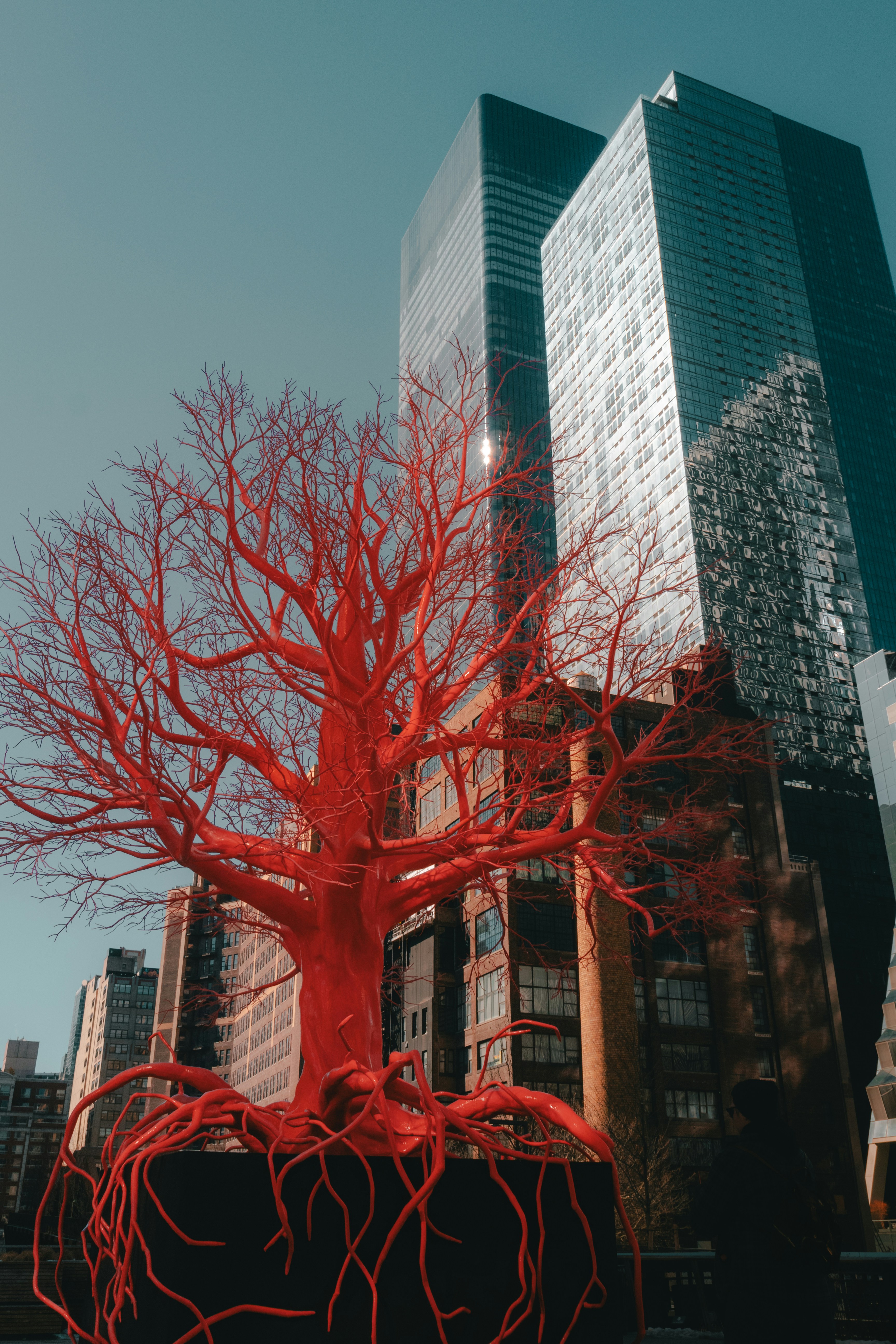 A large red tree in front of a tall building