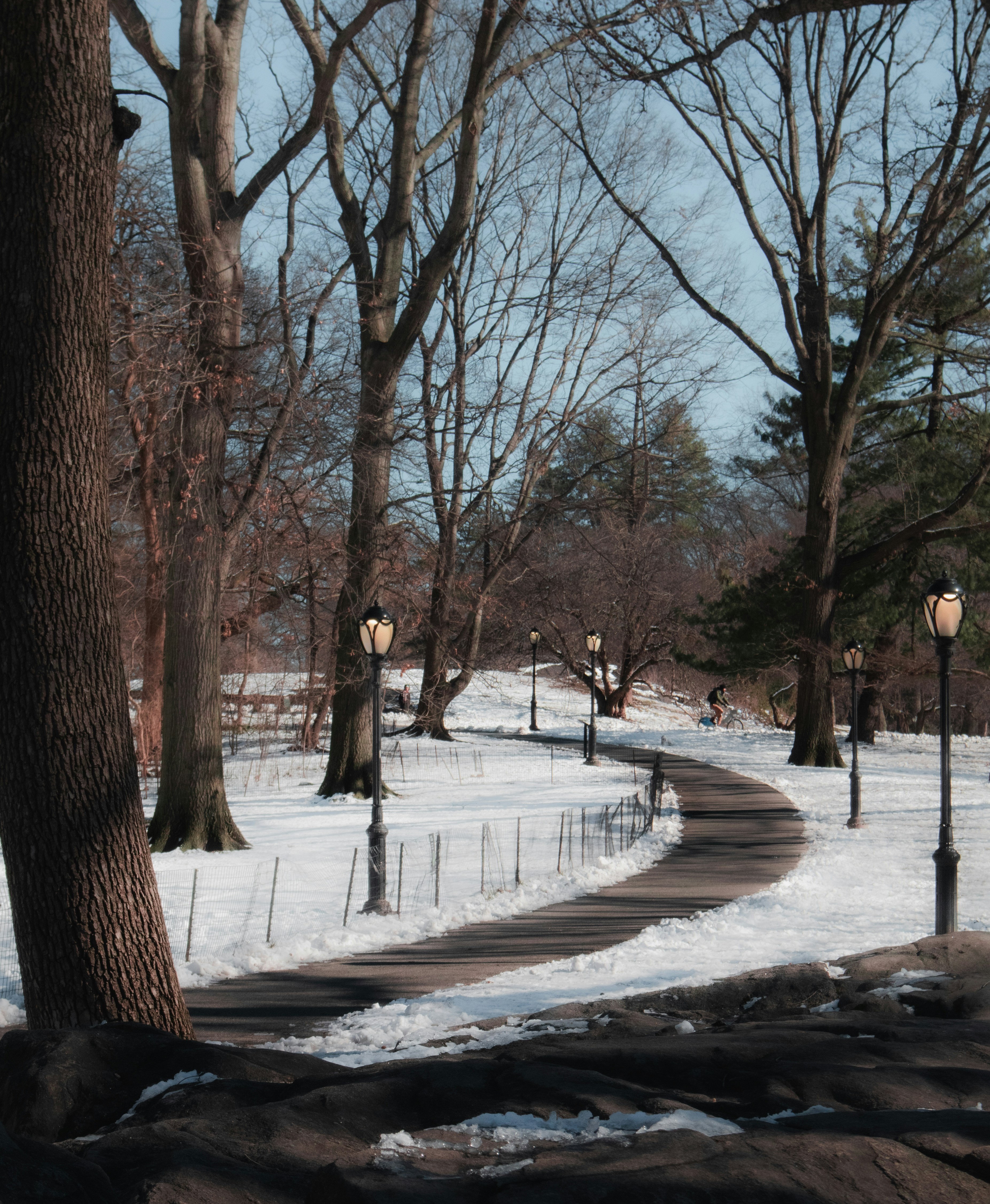 Photo by nature_of_the_experiment