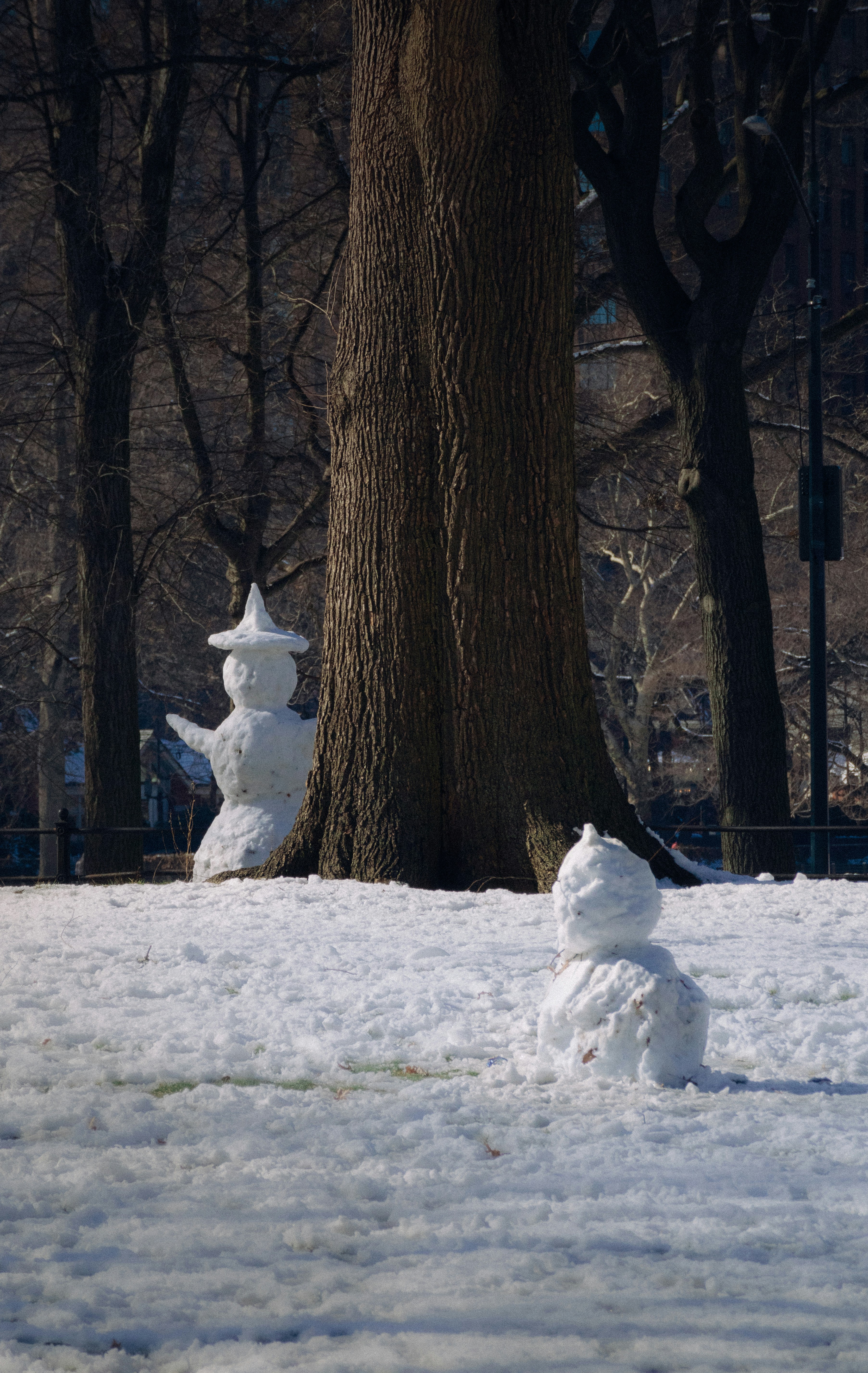A snowman next to a tree in a park