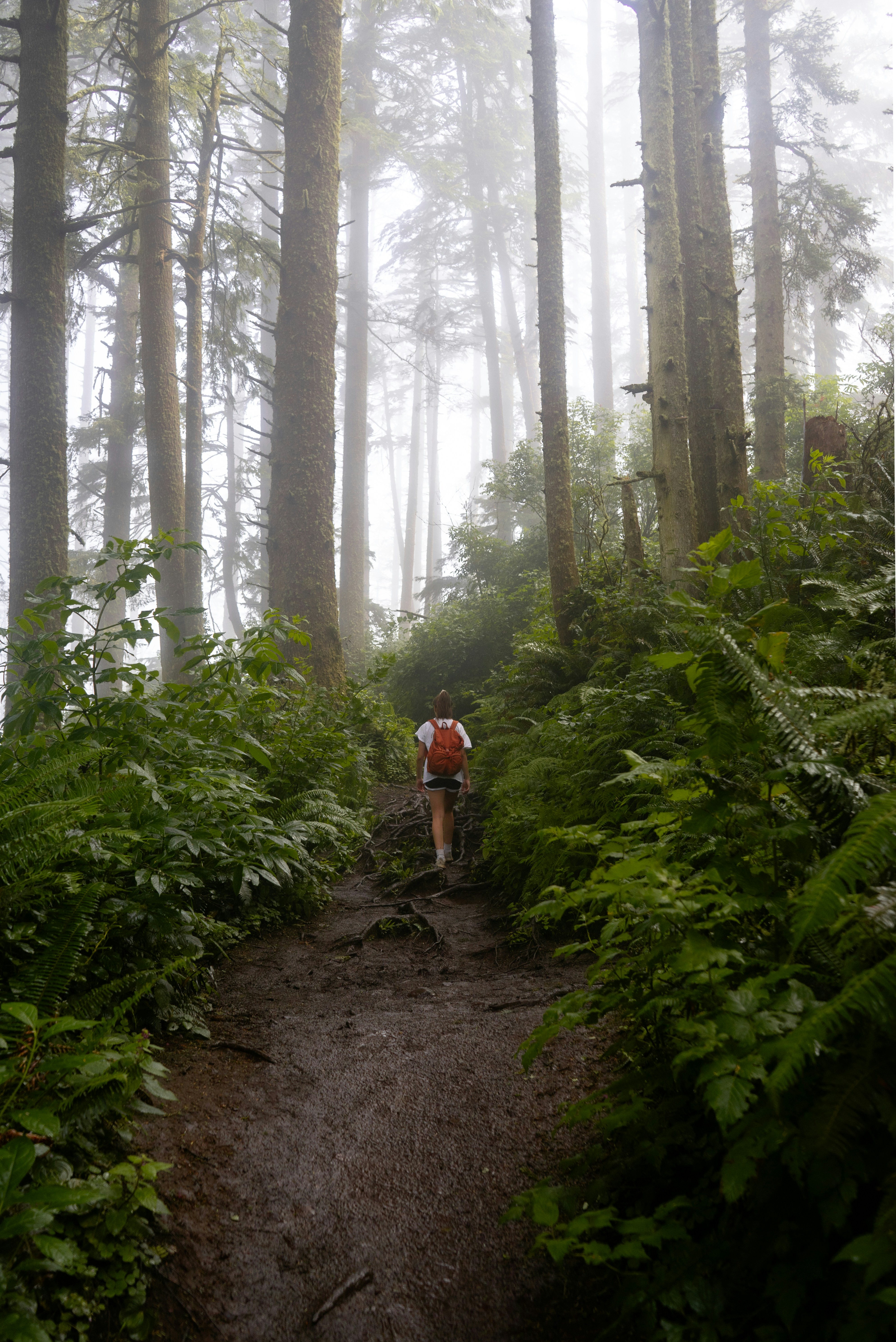 Photo by jamessestric