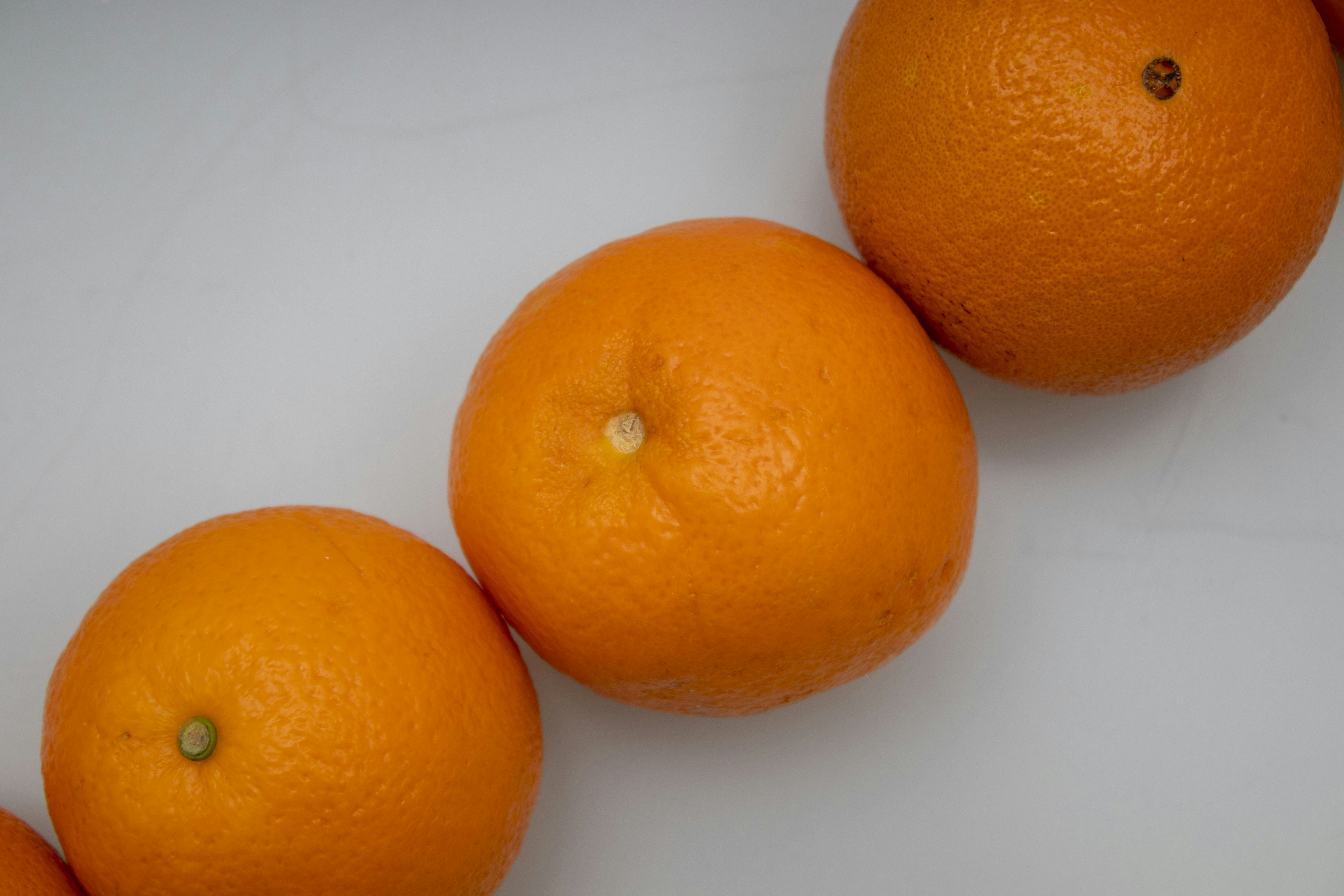 Photo by servetphotograph