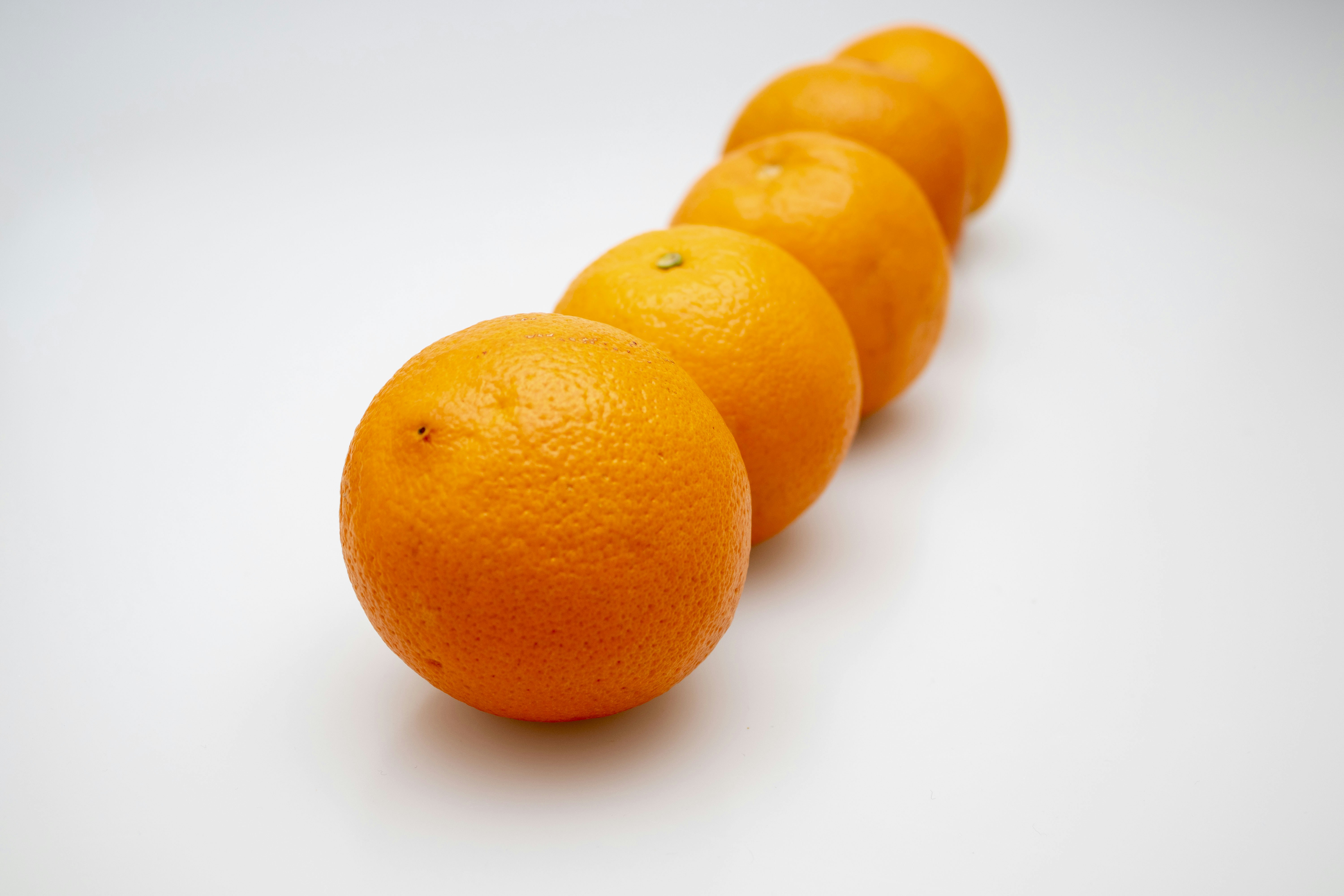 Photo by servetphotograph