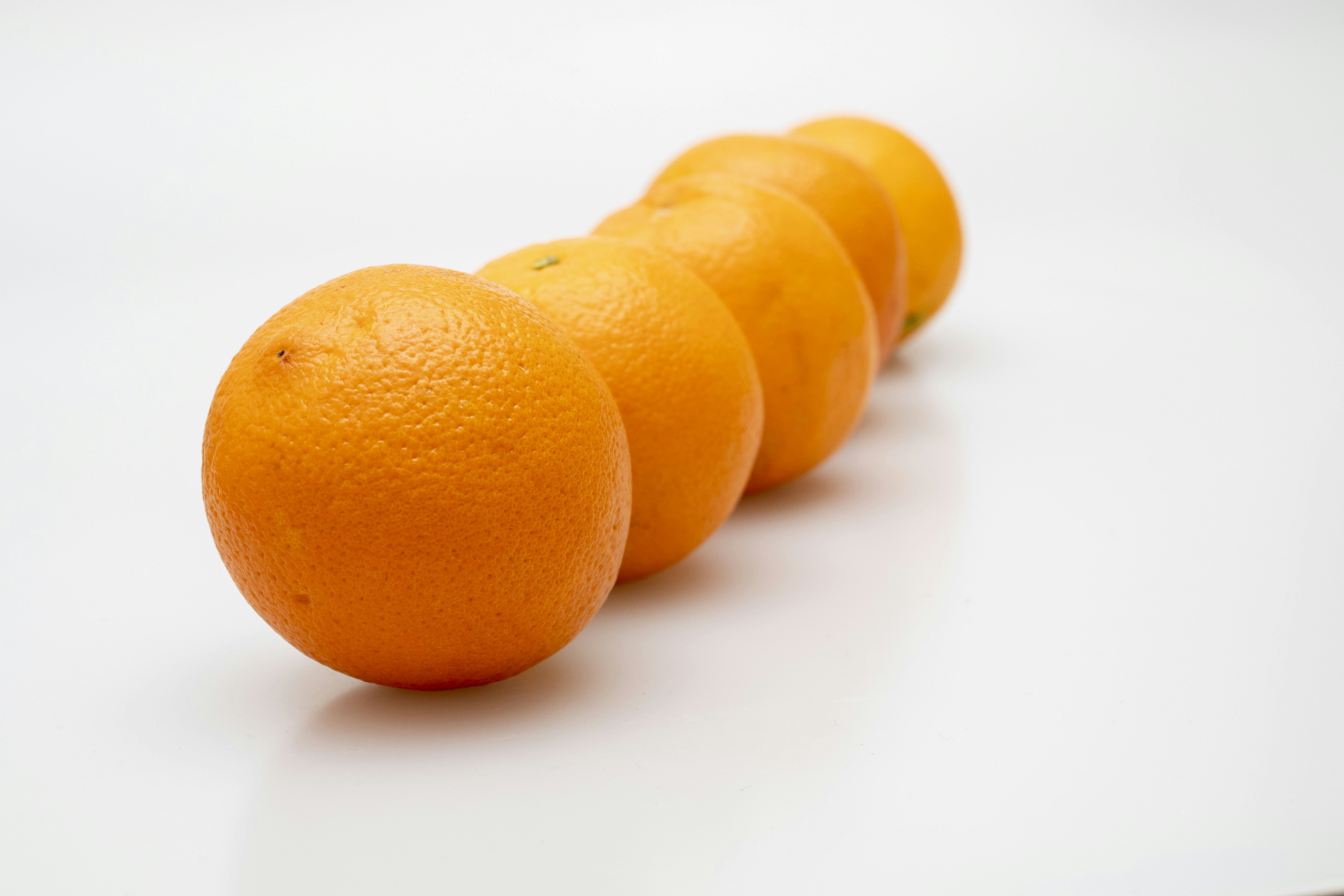 Photo by servetphotograph