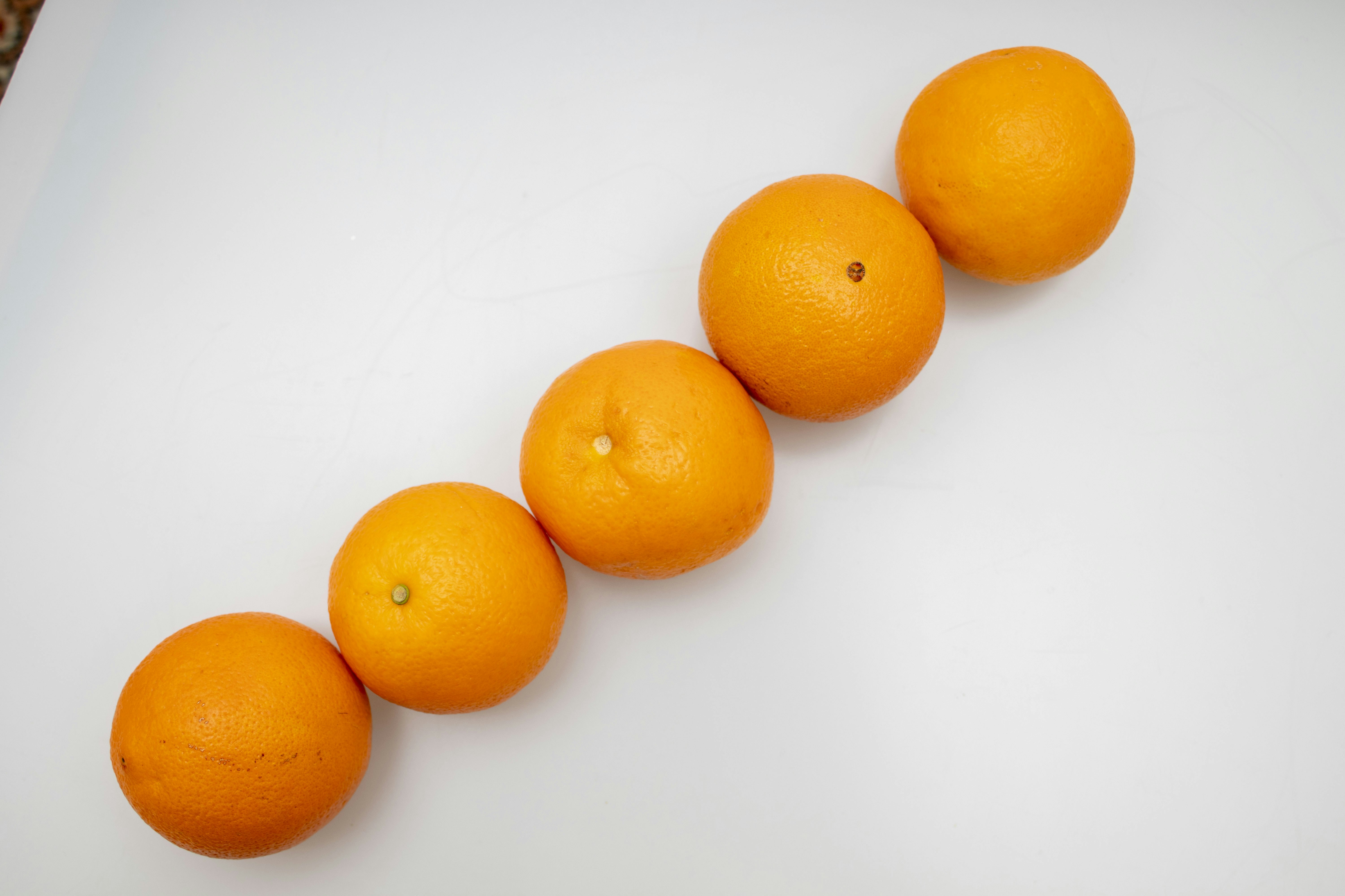 Photo by servetphotograph