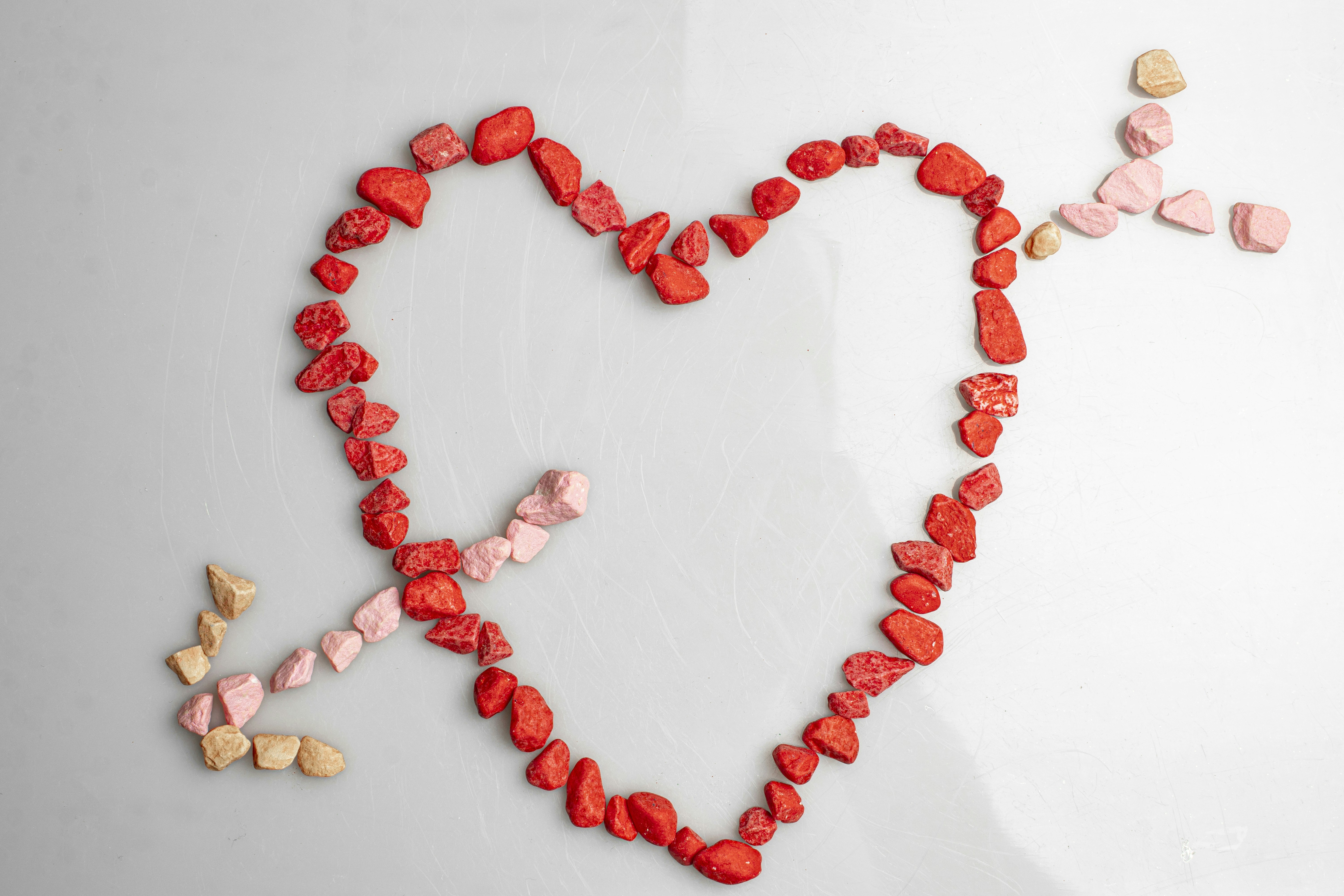 Photo by servetphotograph