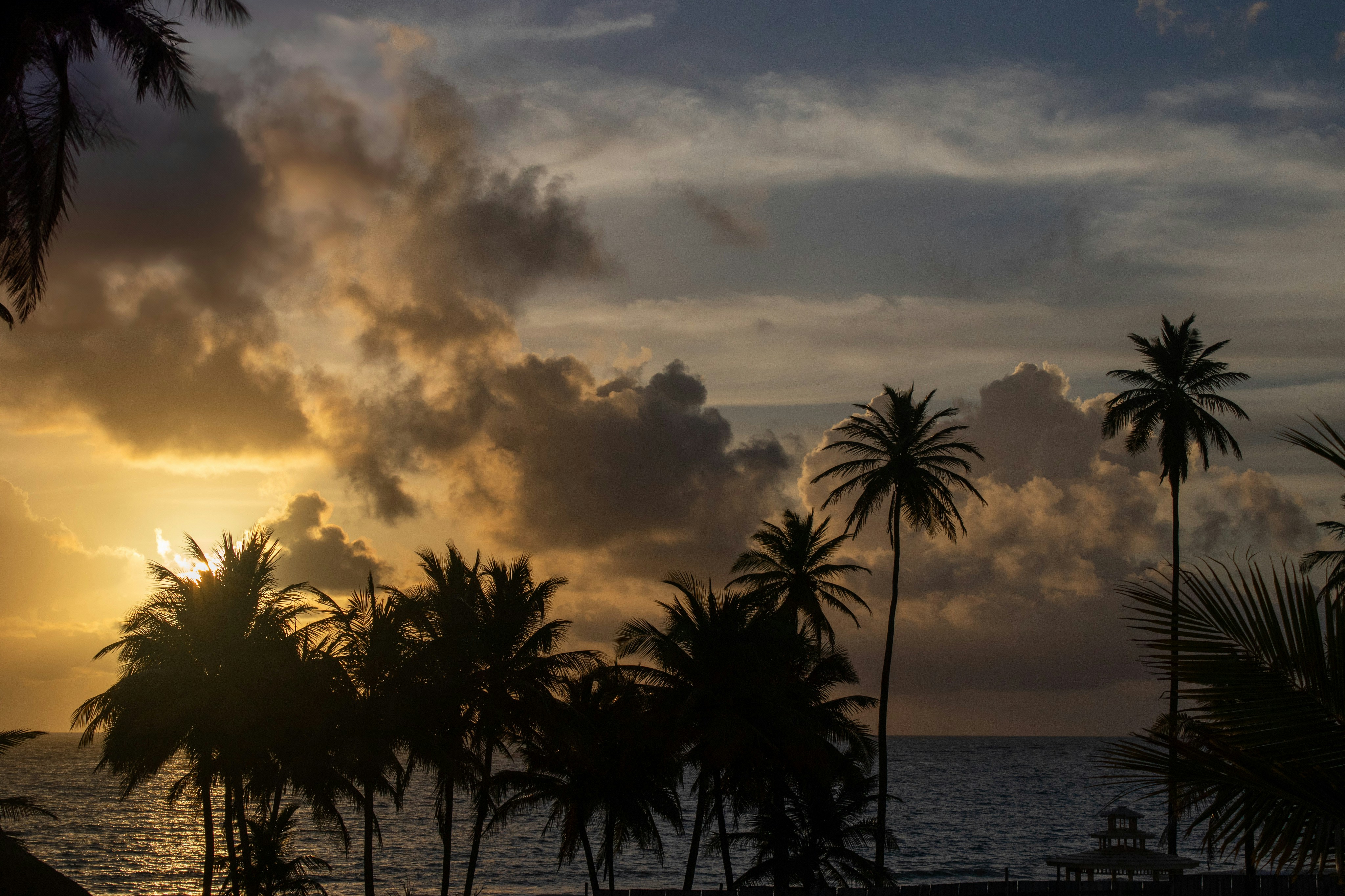 Photo by jvillanueva88