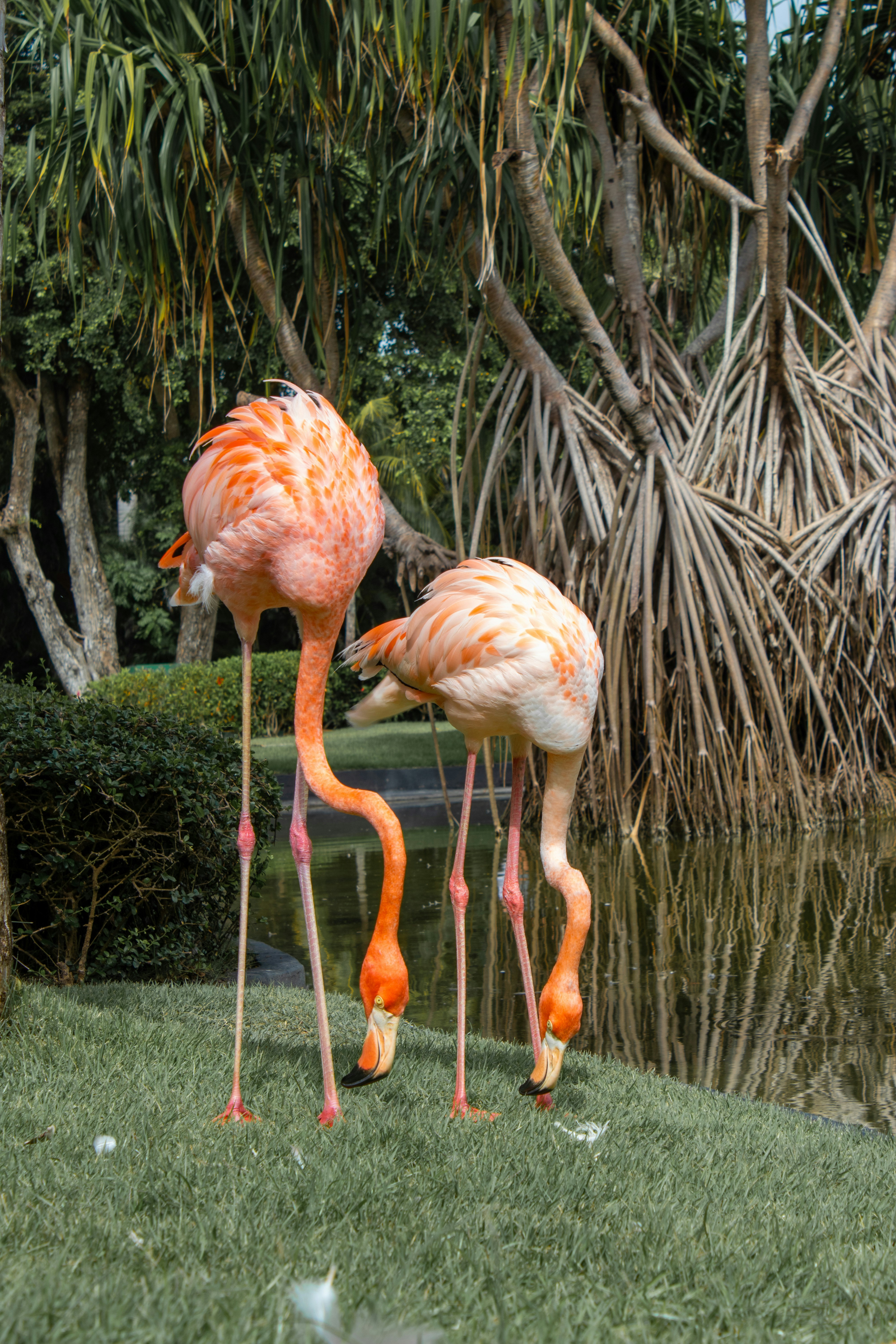 Photo by jvillanueva88