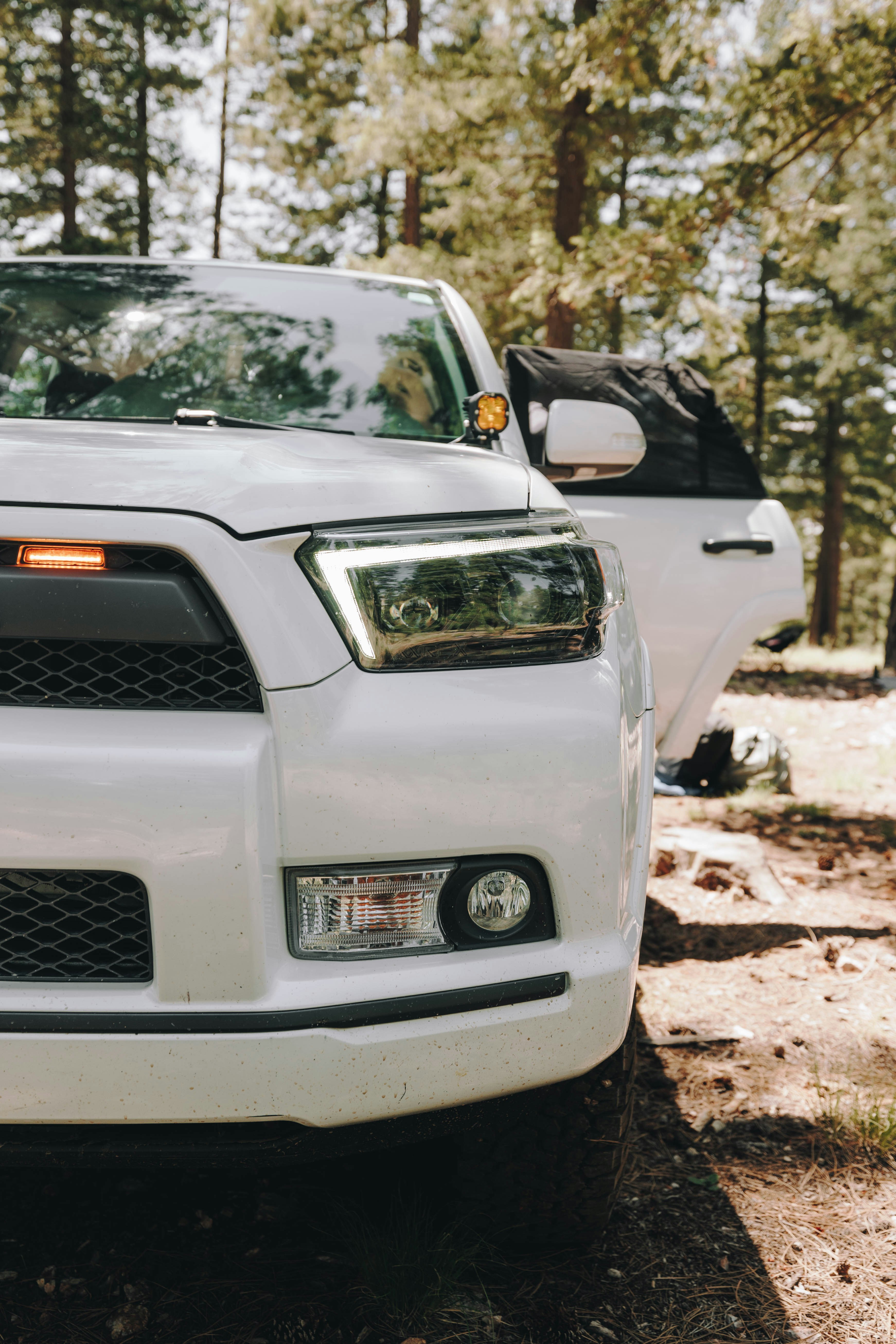 Photo by jeffersonsees