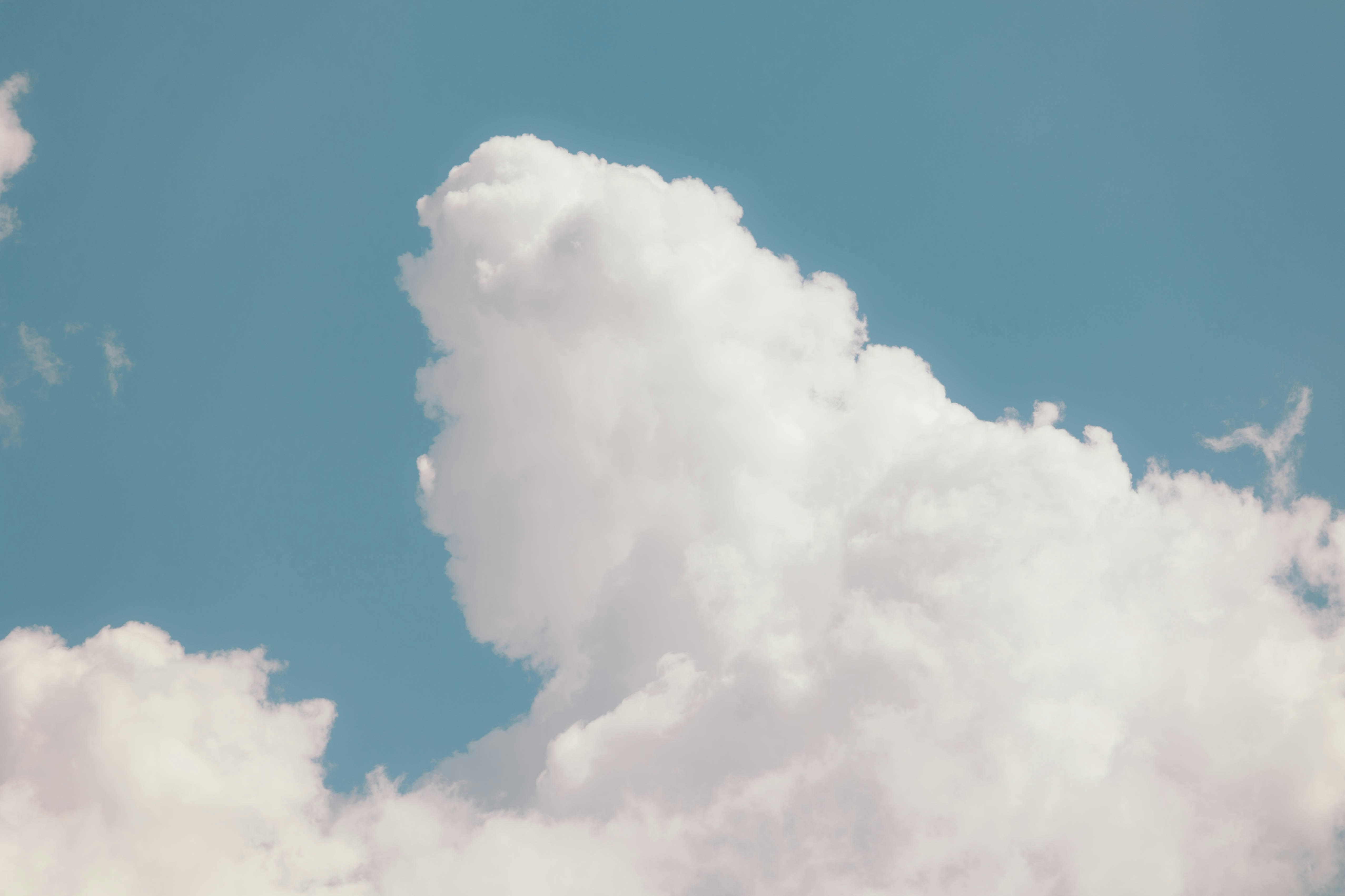 Photo by jeffersonsees