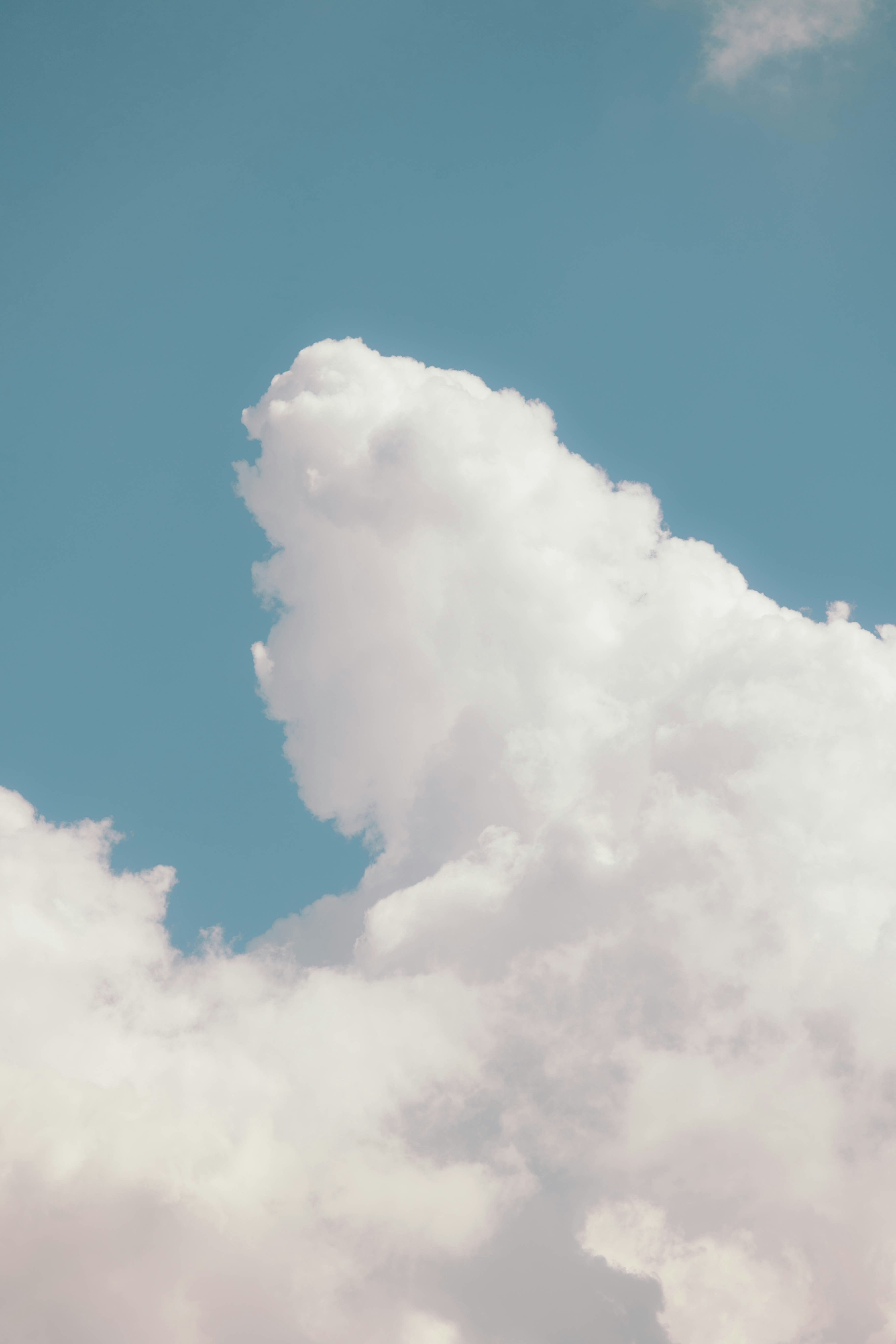 Photo by jeffersonsees