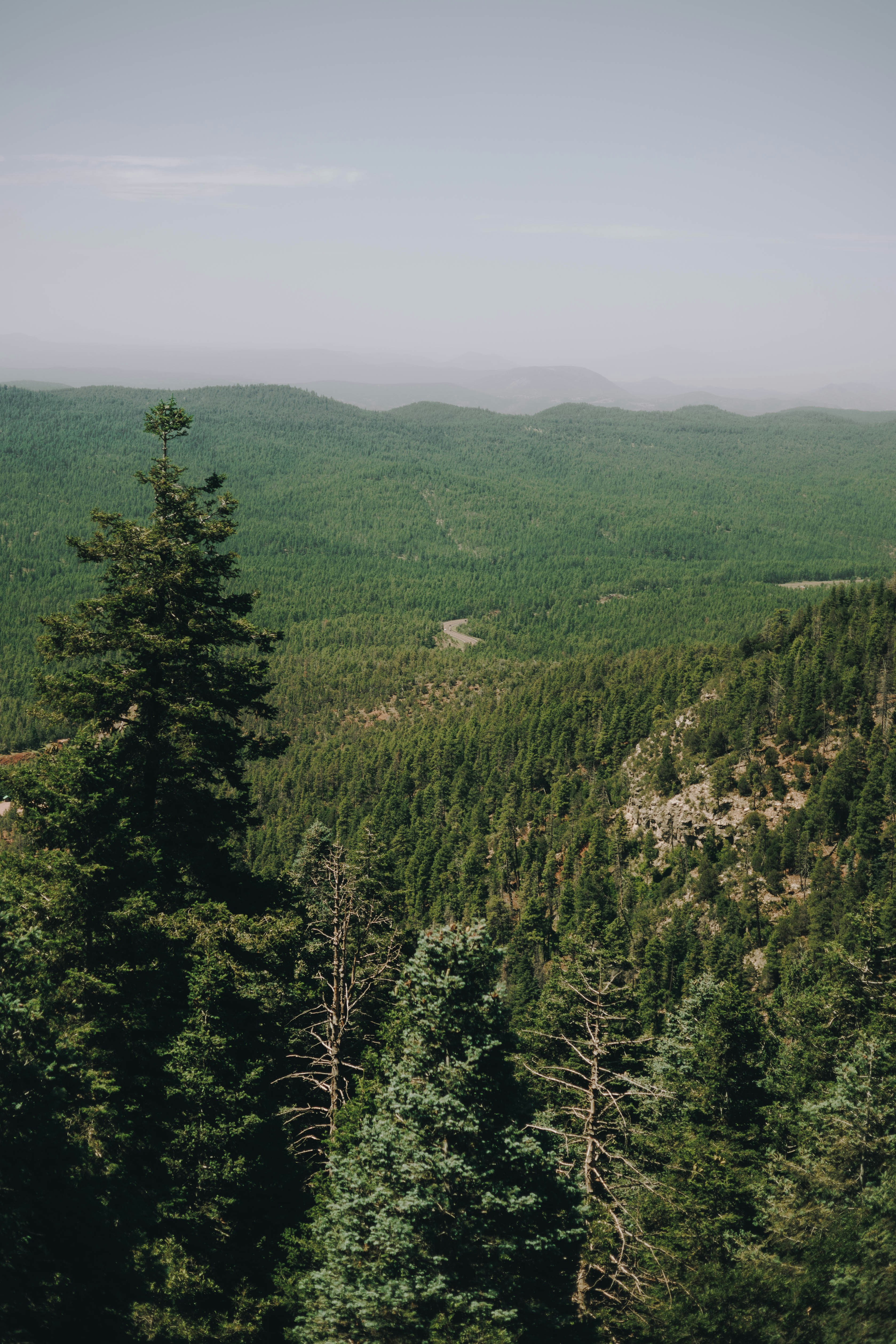 Photo by jeffersonsees