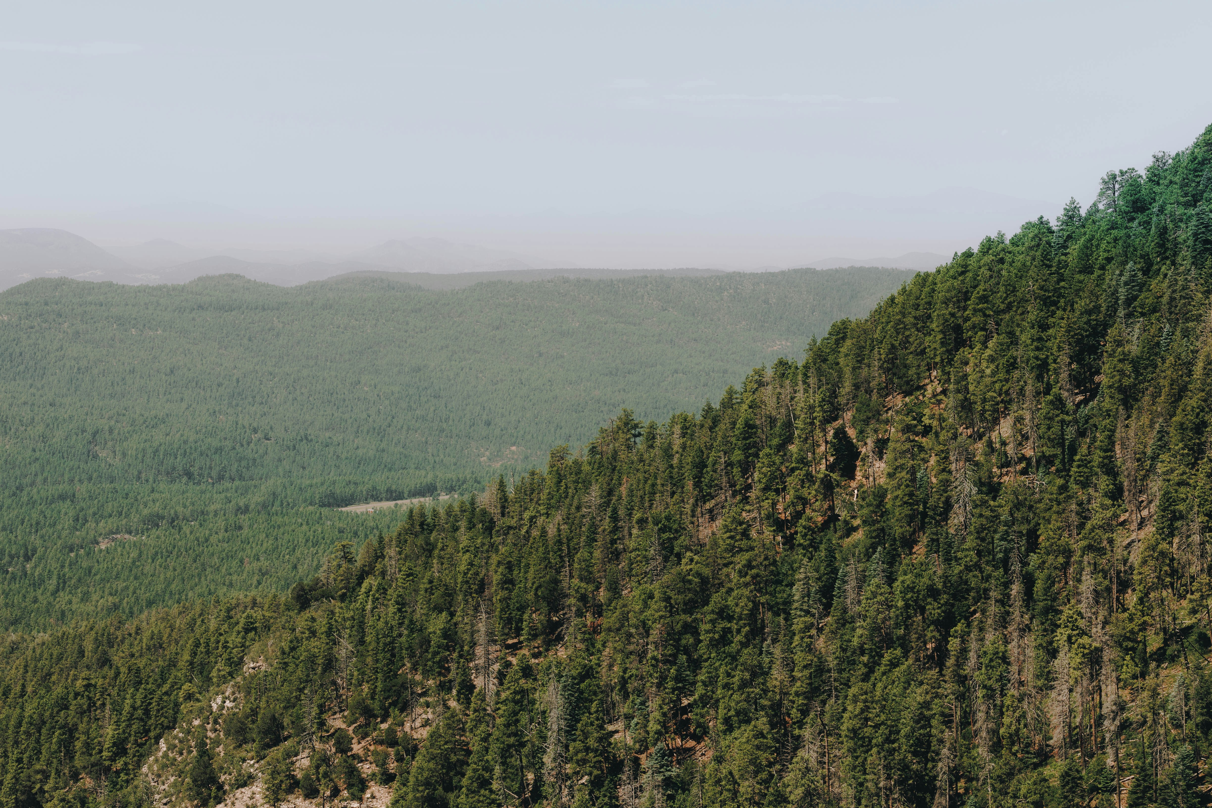 Photo by jeffersonsees