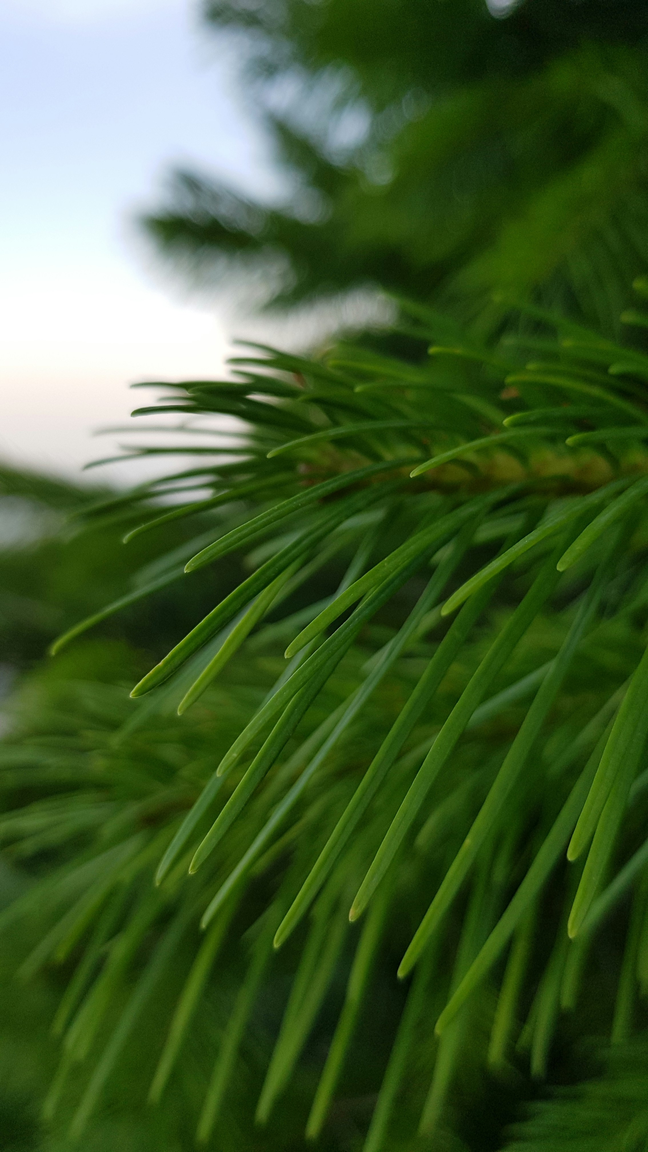 Photo by rehankhan2018