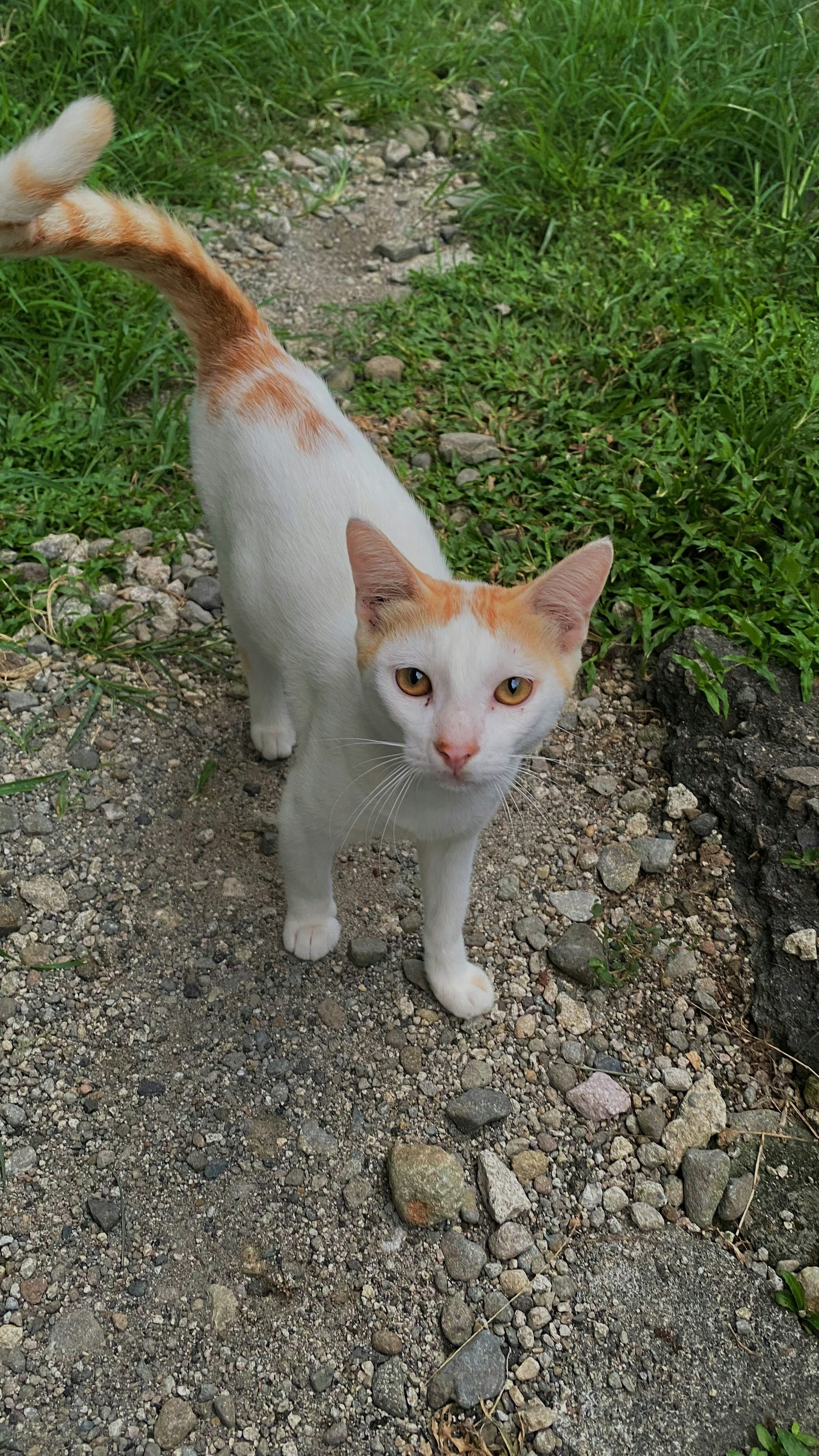 Photo by sheridagrajo