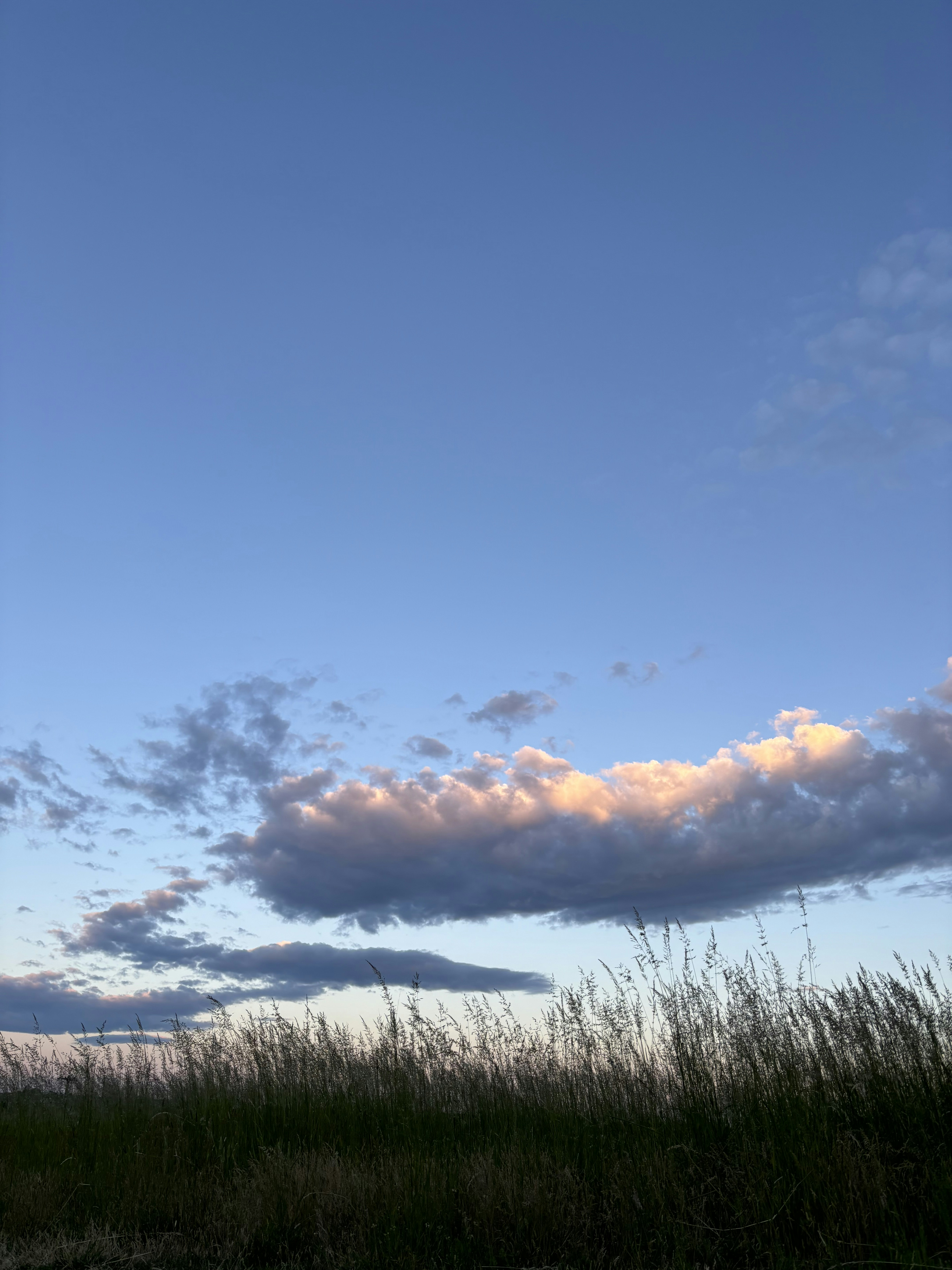 Photo by alaska_youngren