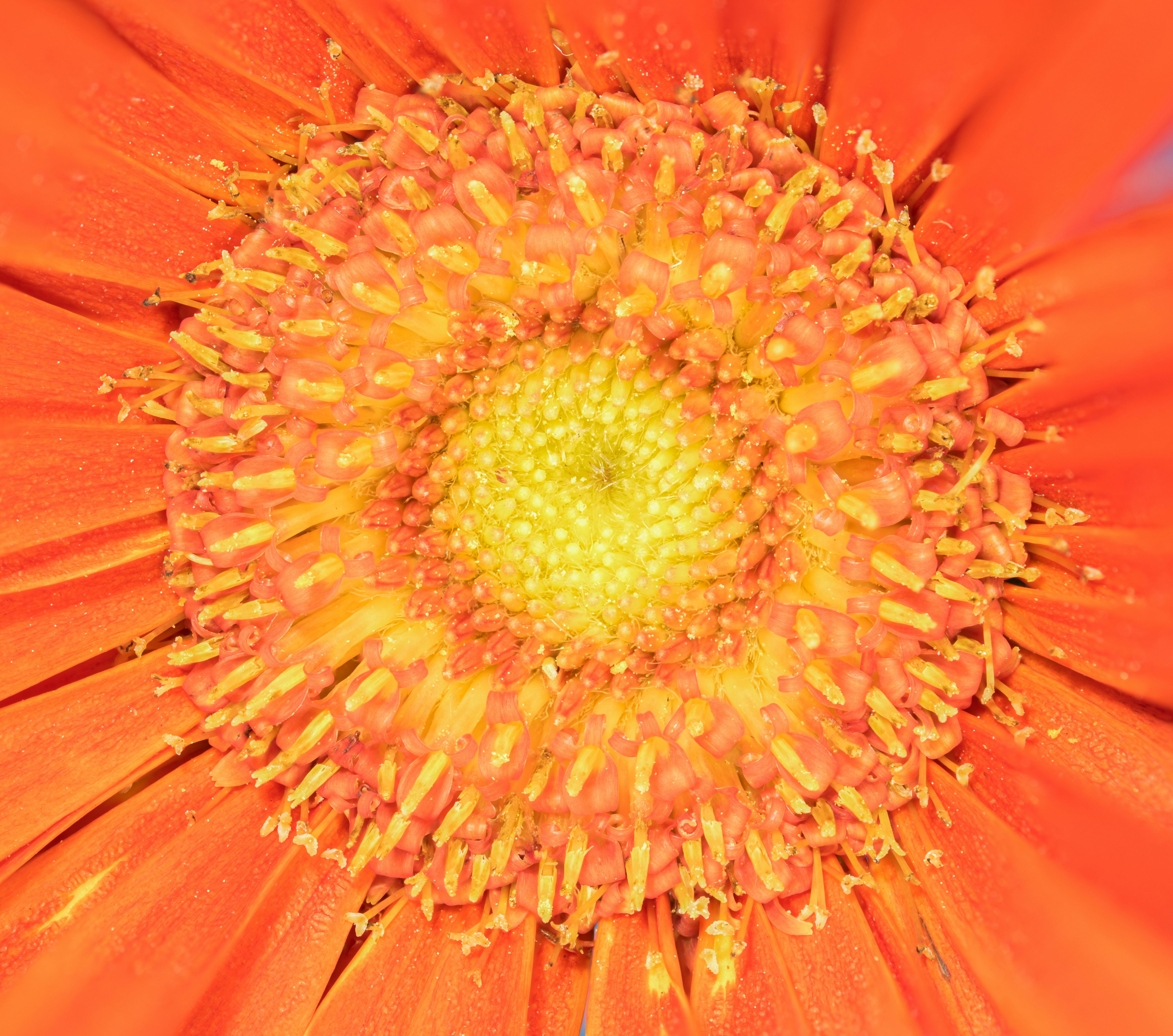 Photo by alexandredaoust