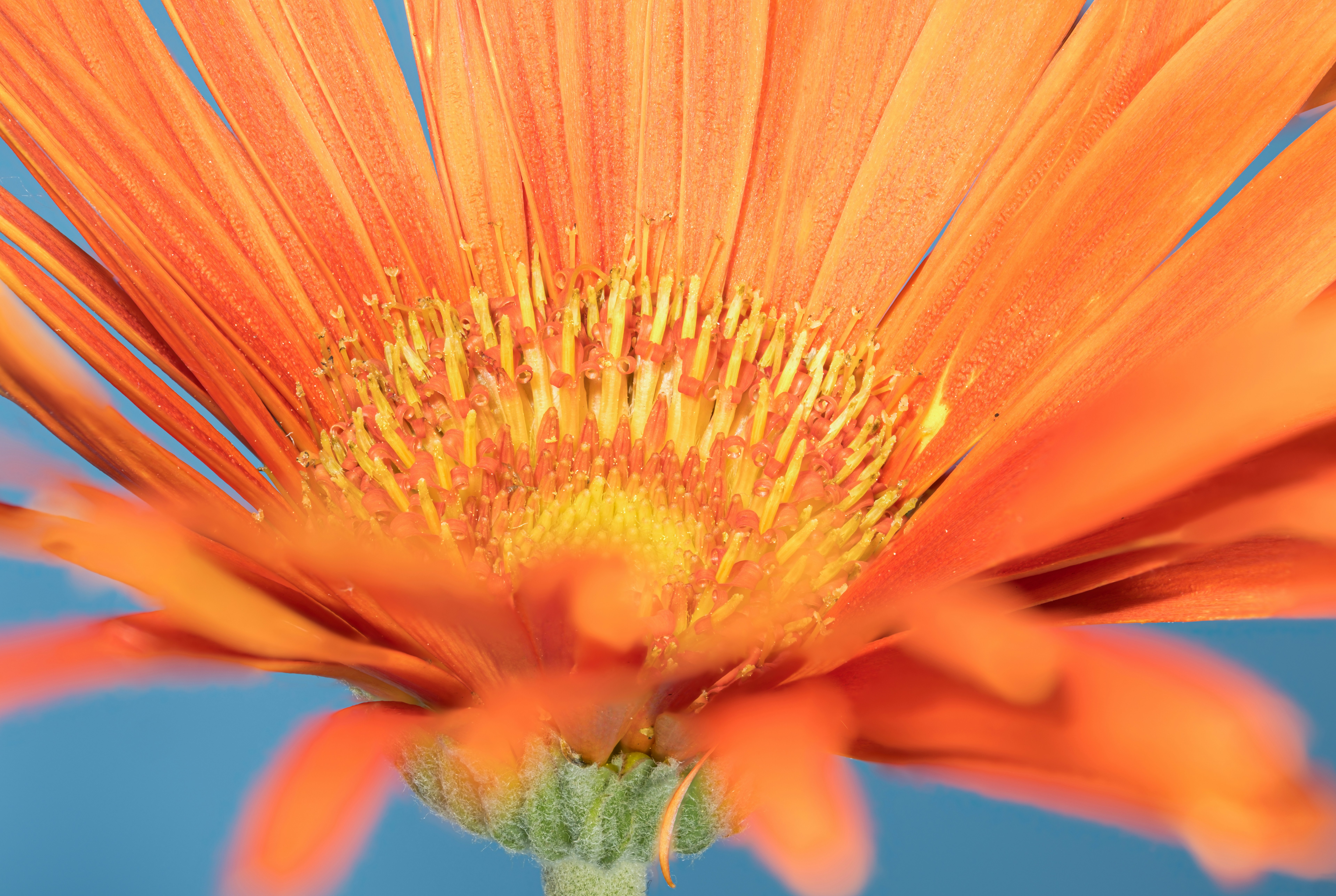 Photo by alexandredaoust