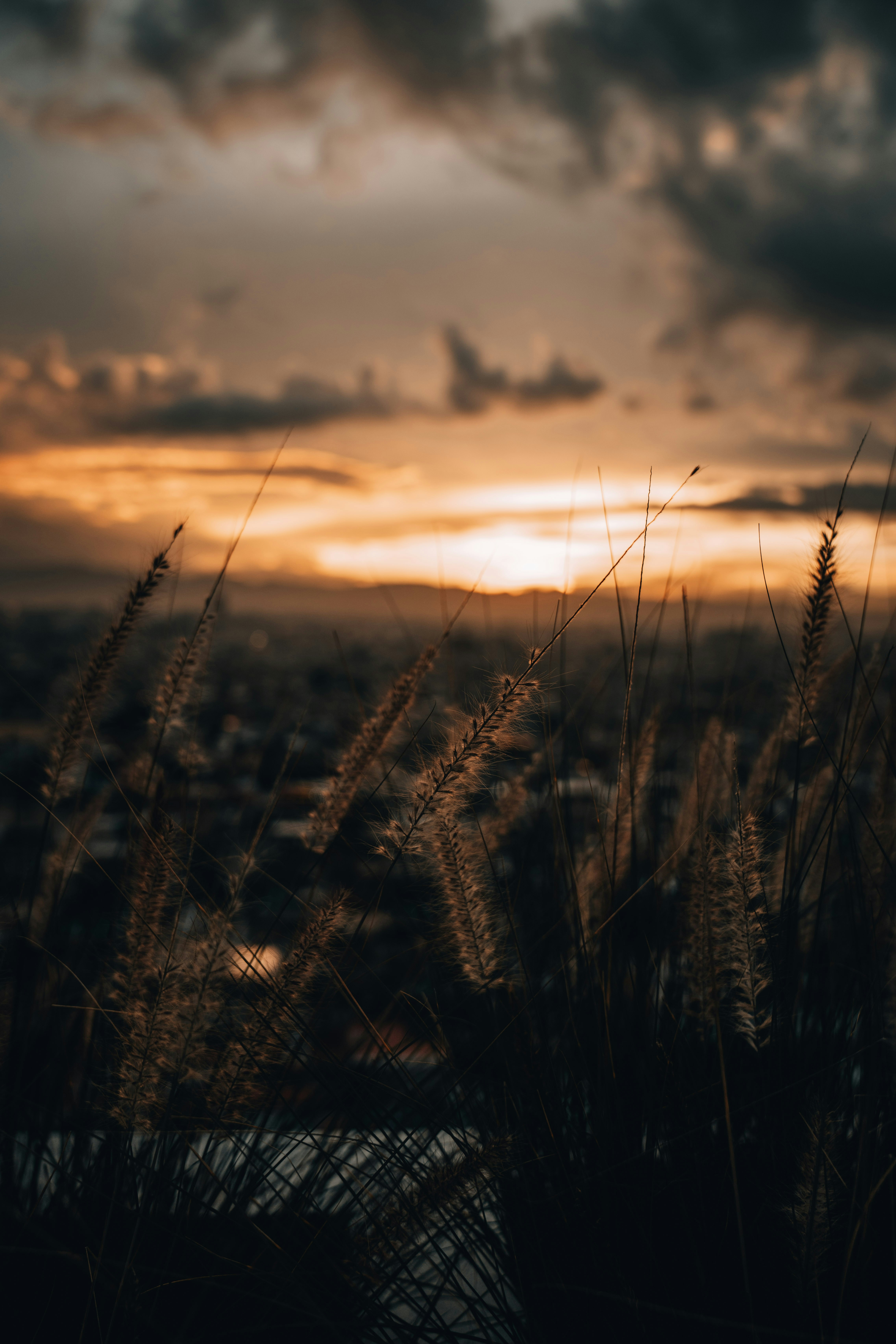 Photo by bytopo