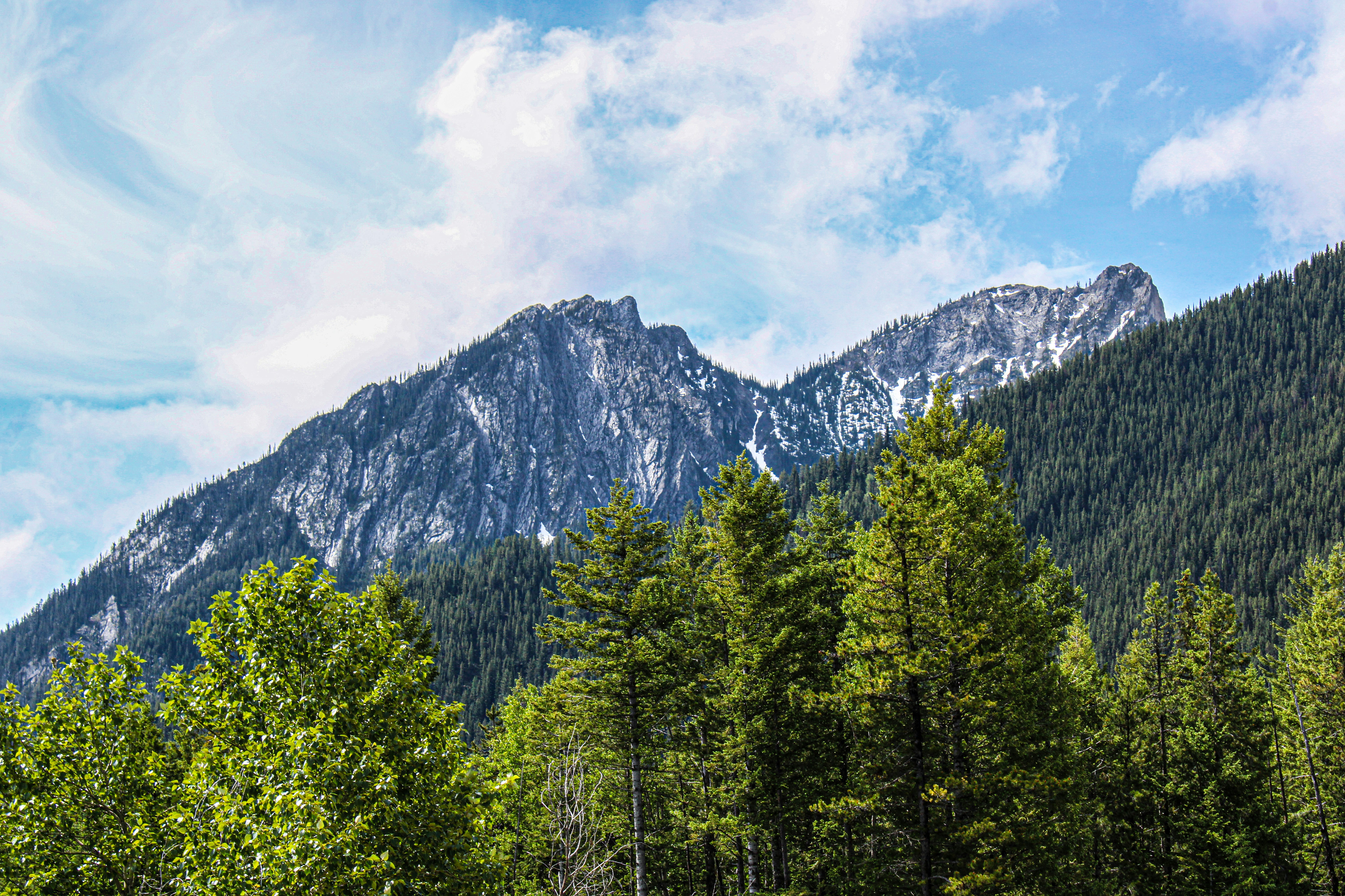 Photo by prphotography262