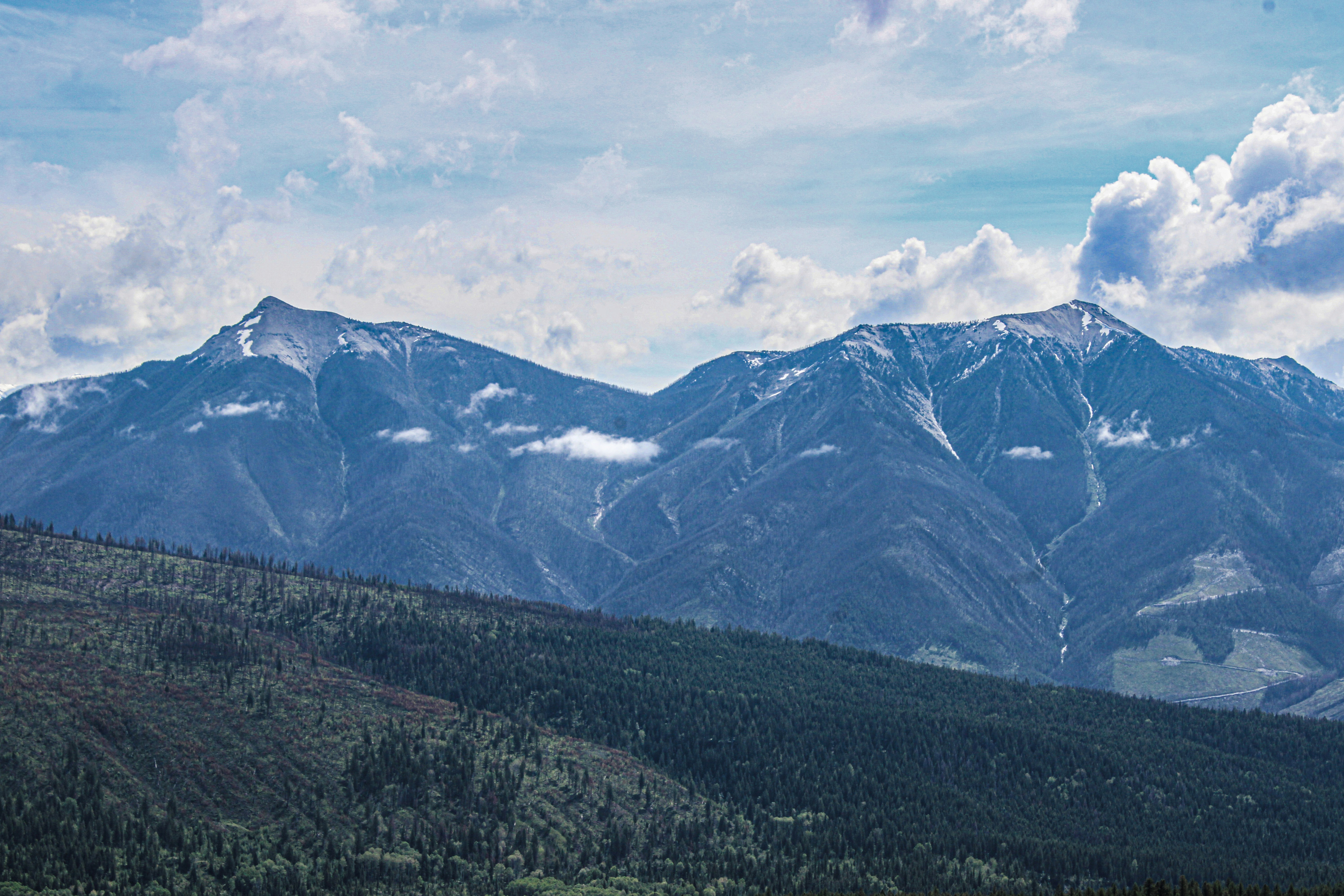 Photo by prphotography262