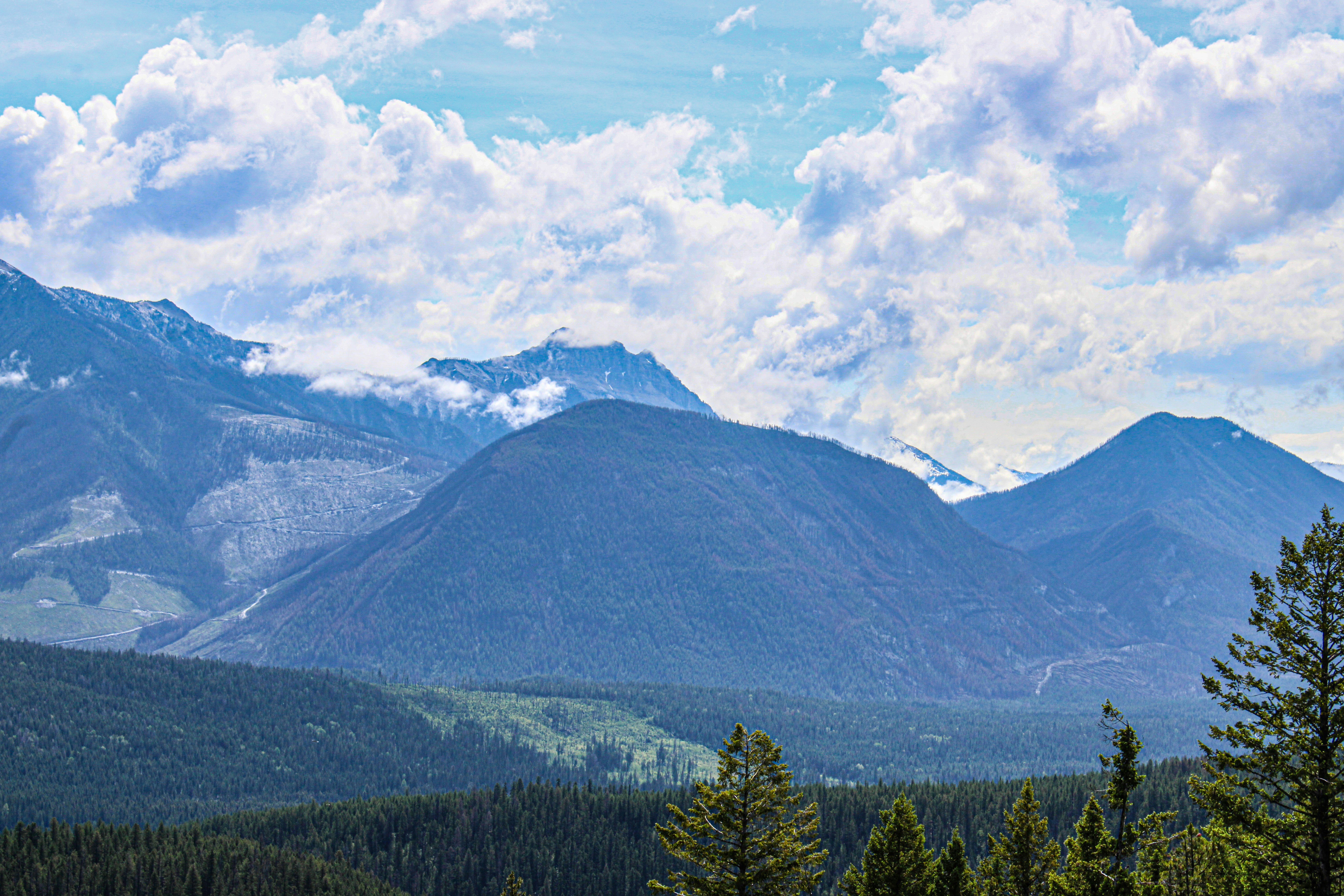 Photo by prphotography262