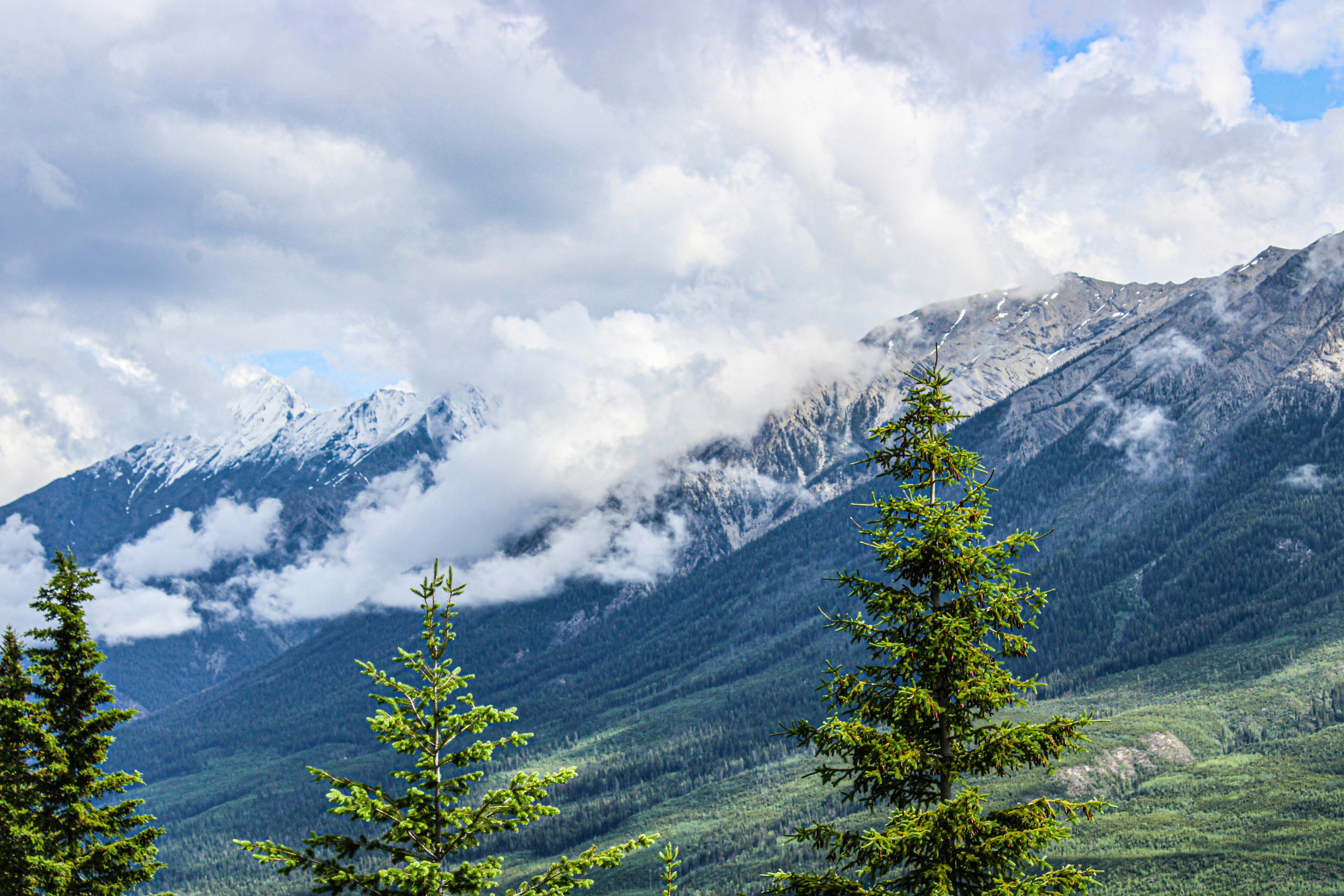 Photo by prphotography262