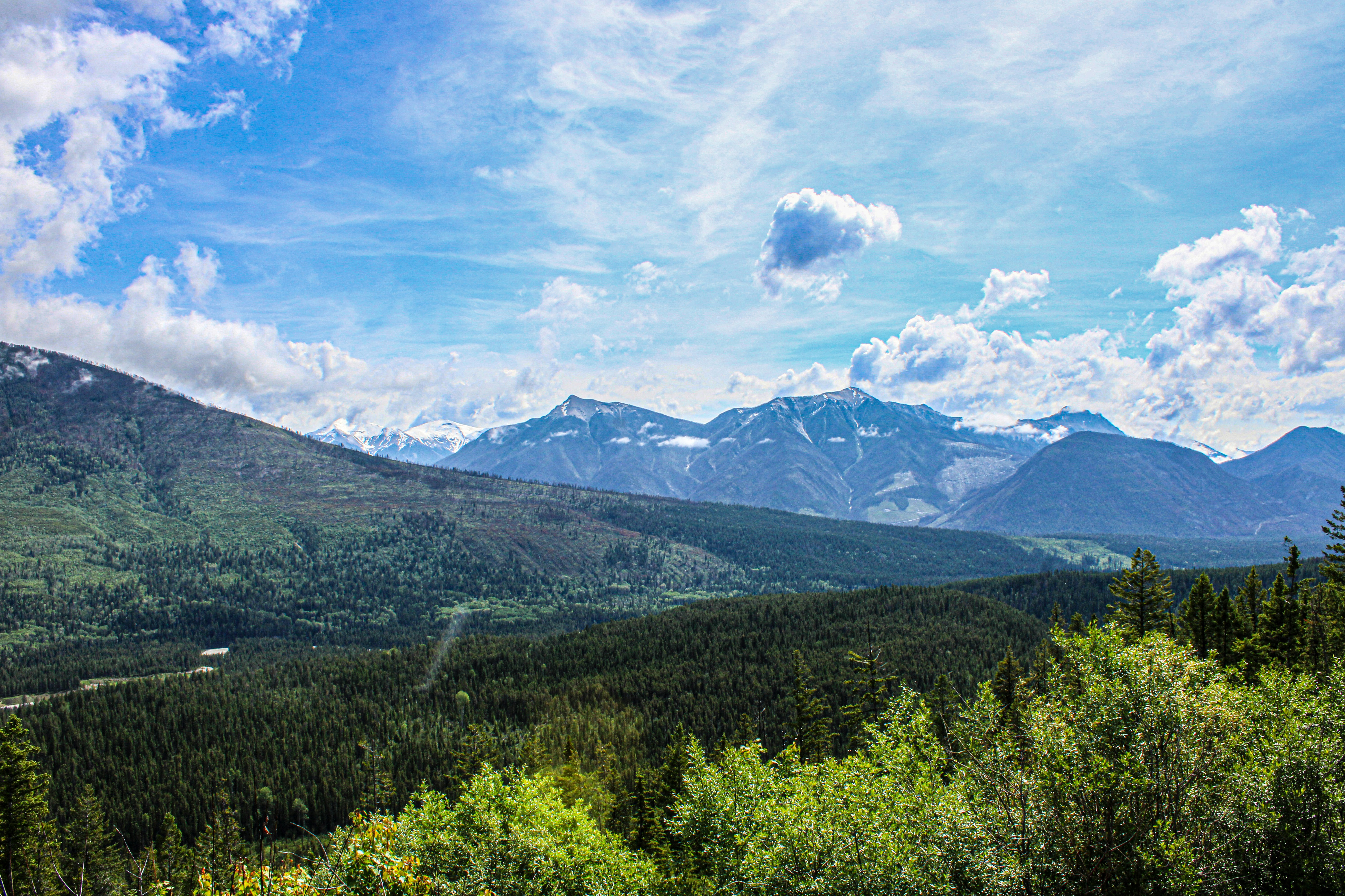 Photo by prphotography262