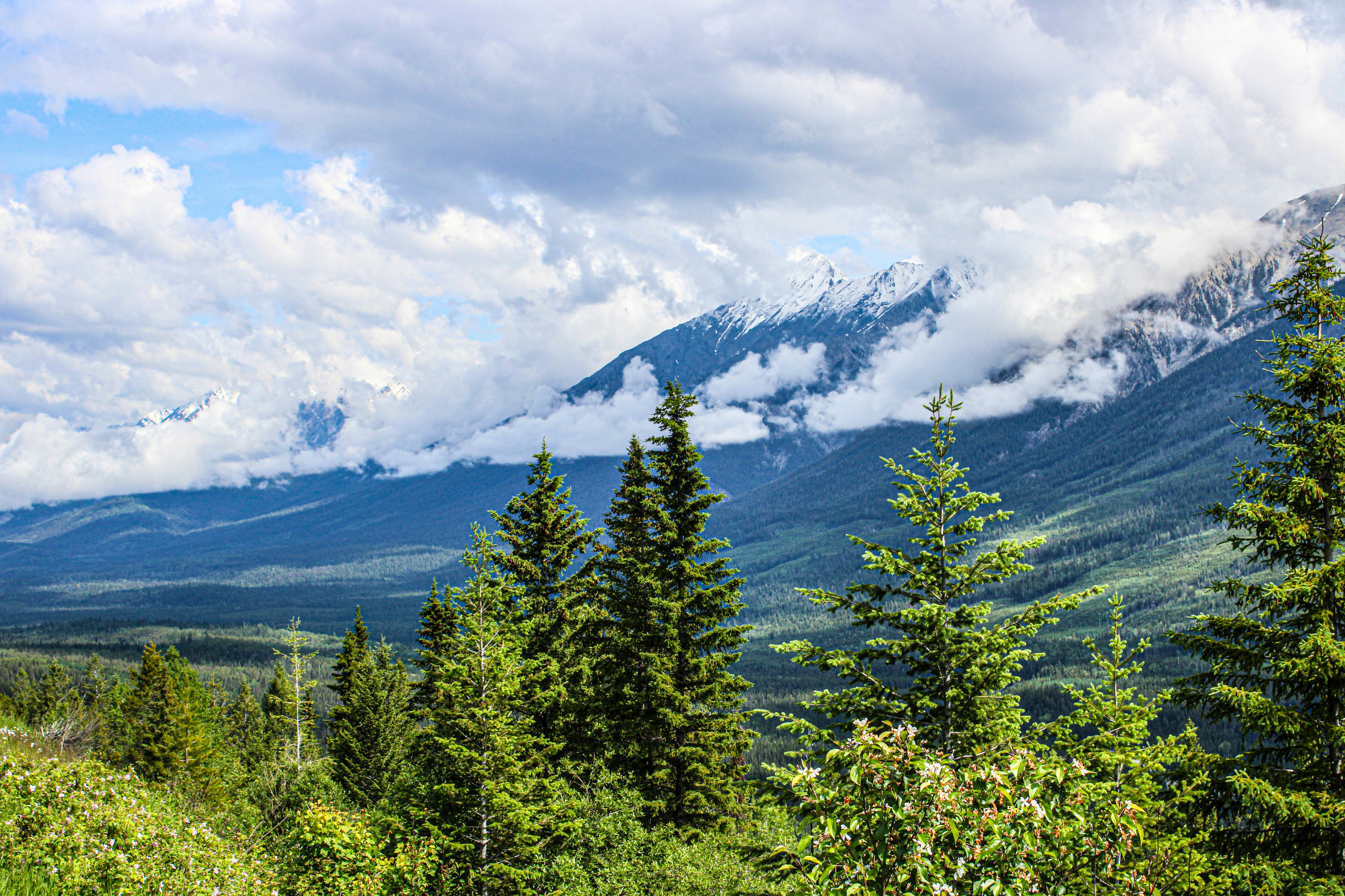 Photo by prphotography262