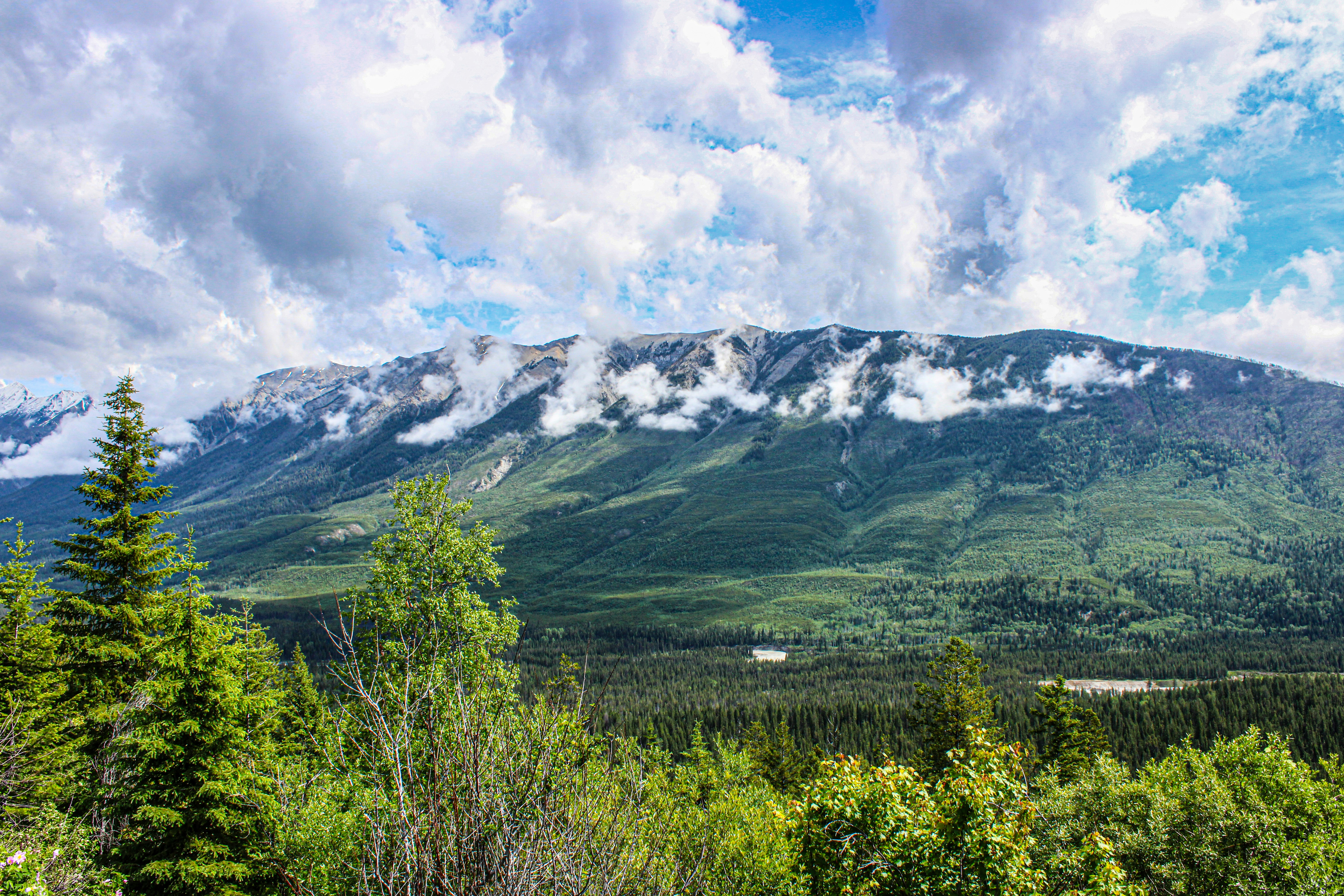 Photo by prphotography262