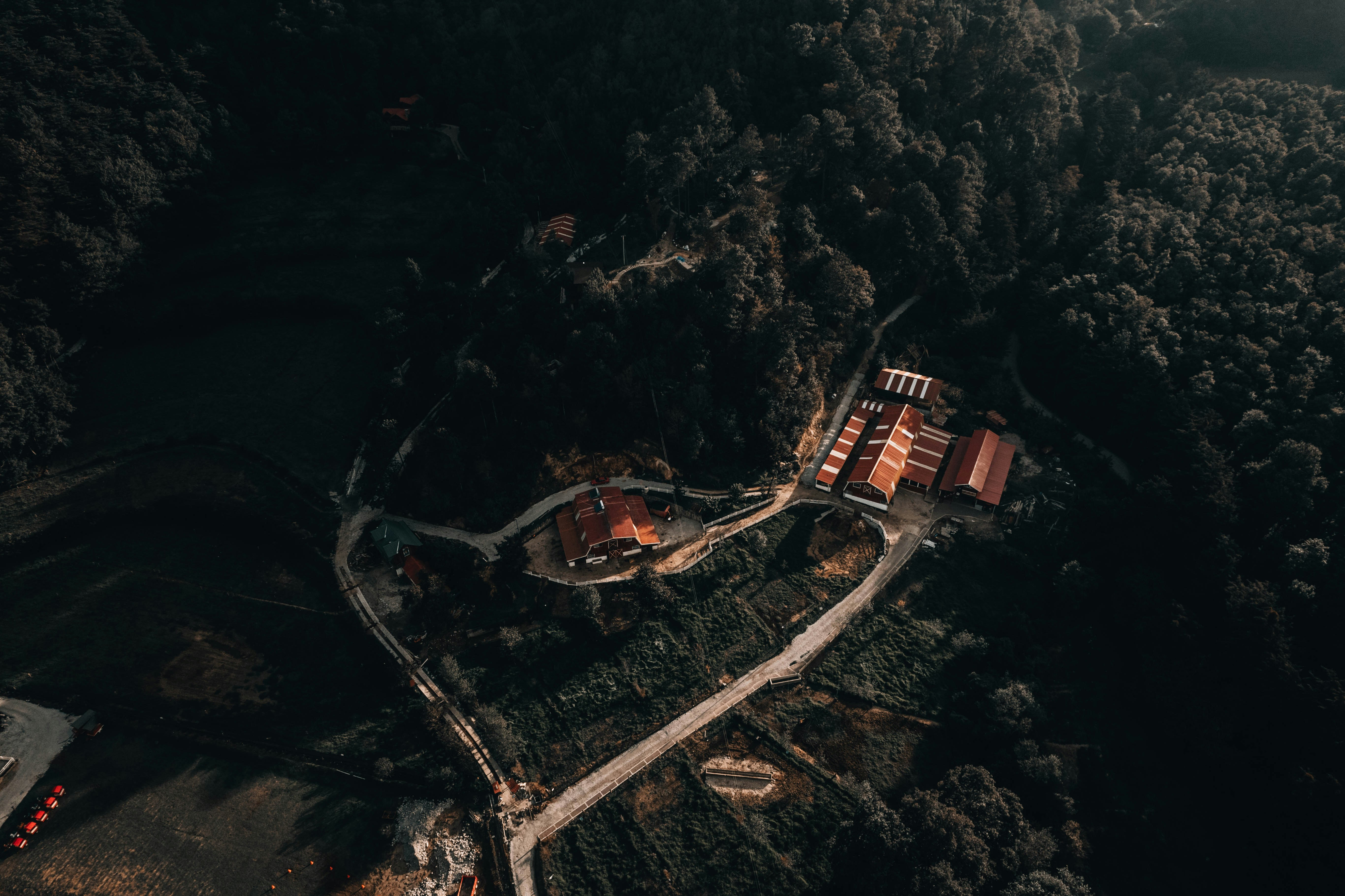 photo-1722305284295-9a6b032484b2?ixid=M3wxMjA3fDB8MXxzZWFyY2h8MTl8fGJlbGxhbm9pciUyMGxvY2F0aW9uJTIwcGFsd29ybGR8ZW58MHx8fHwxNzY1MjIyNTE4fDA\u0026ixlib=rb-4.1.0