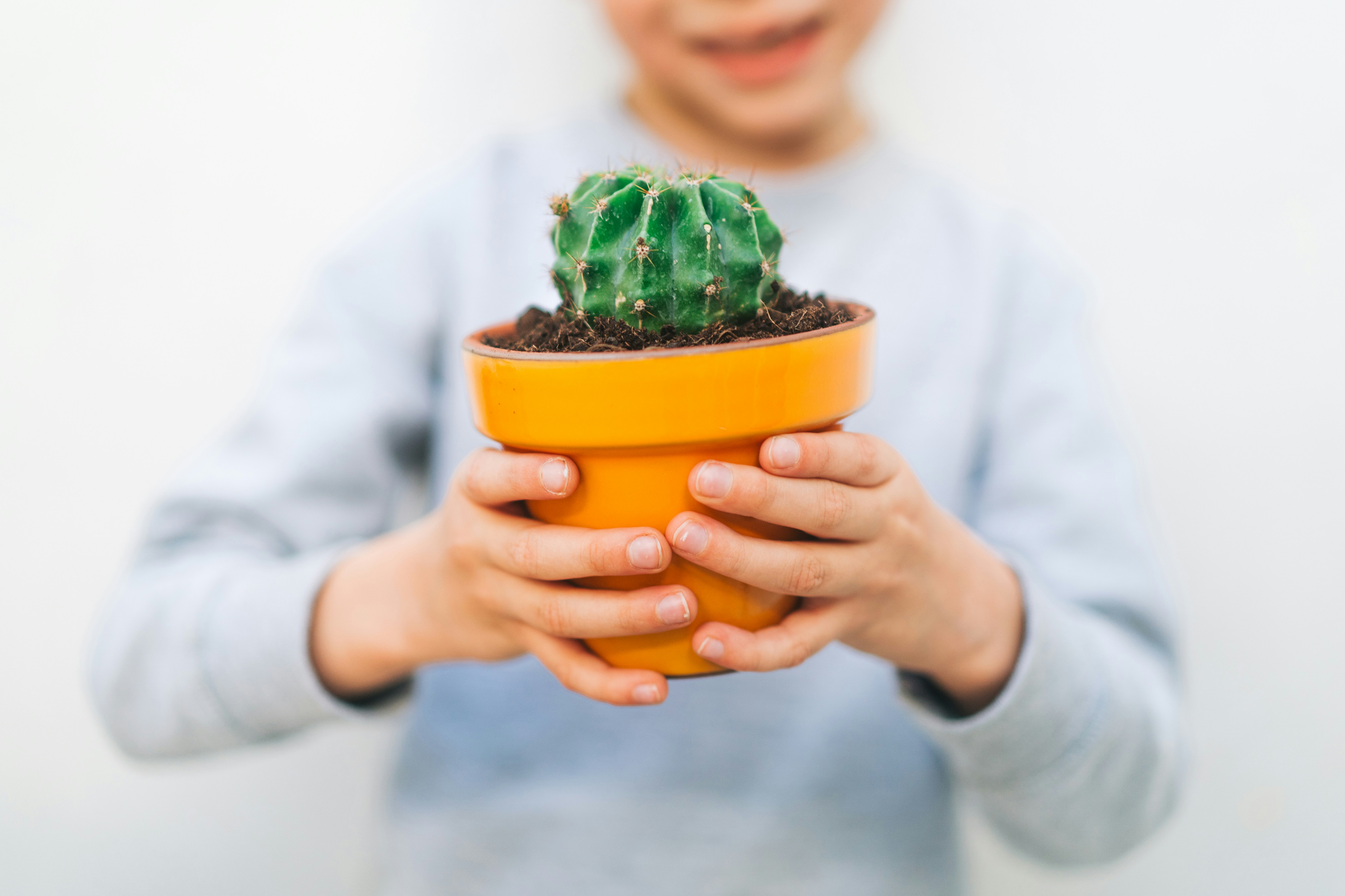 A young boy holding a potted plant in his hands