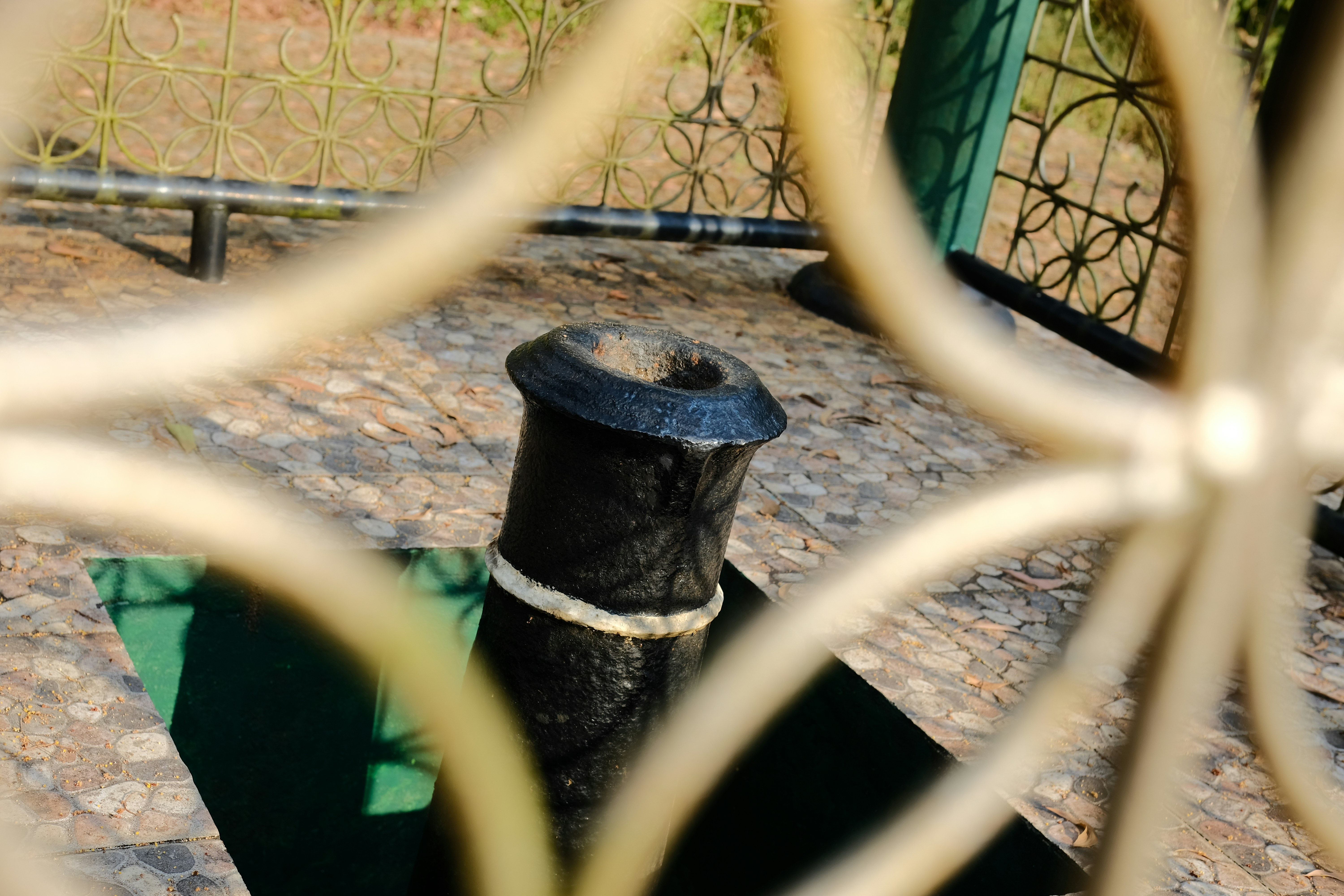 부비동 위치를 나타내는 인포그래픽