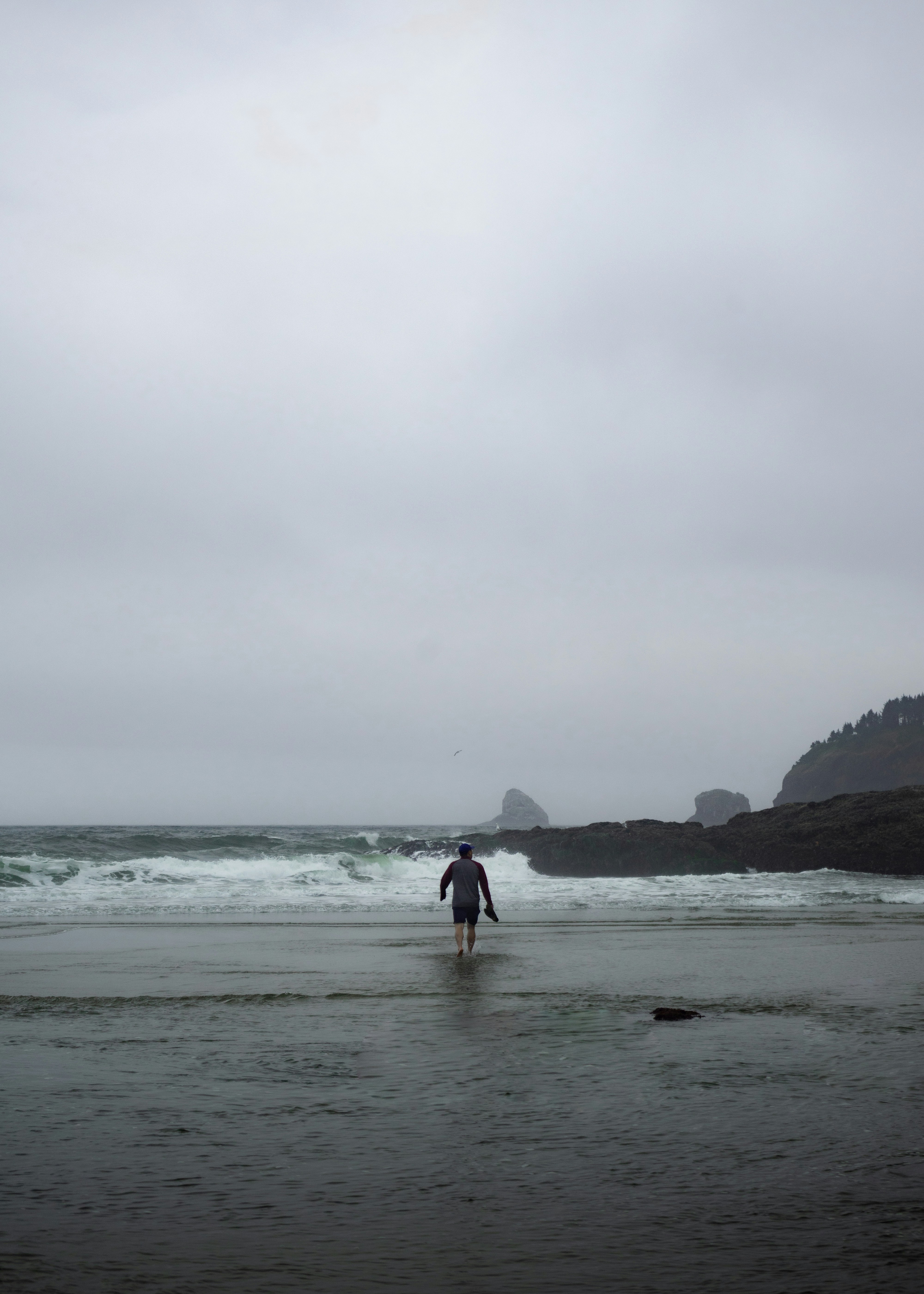 Photo by jamessestric