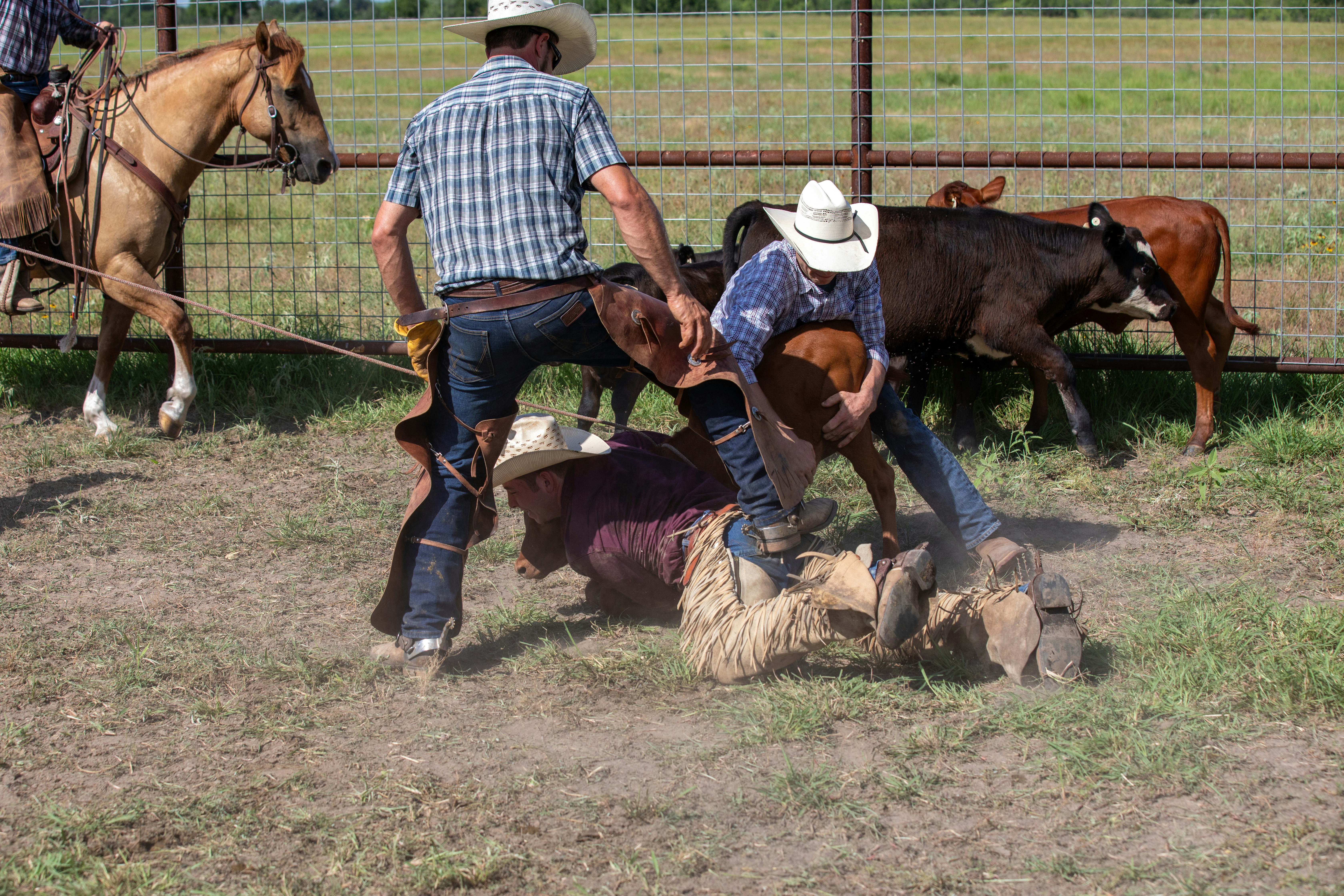 A group of men riding on the backs of horses