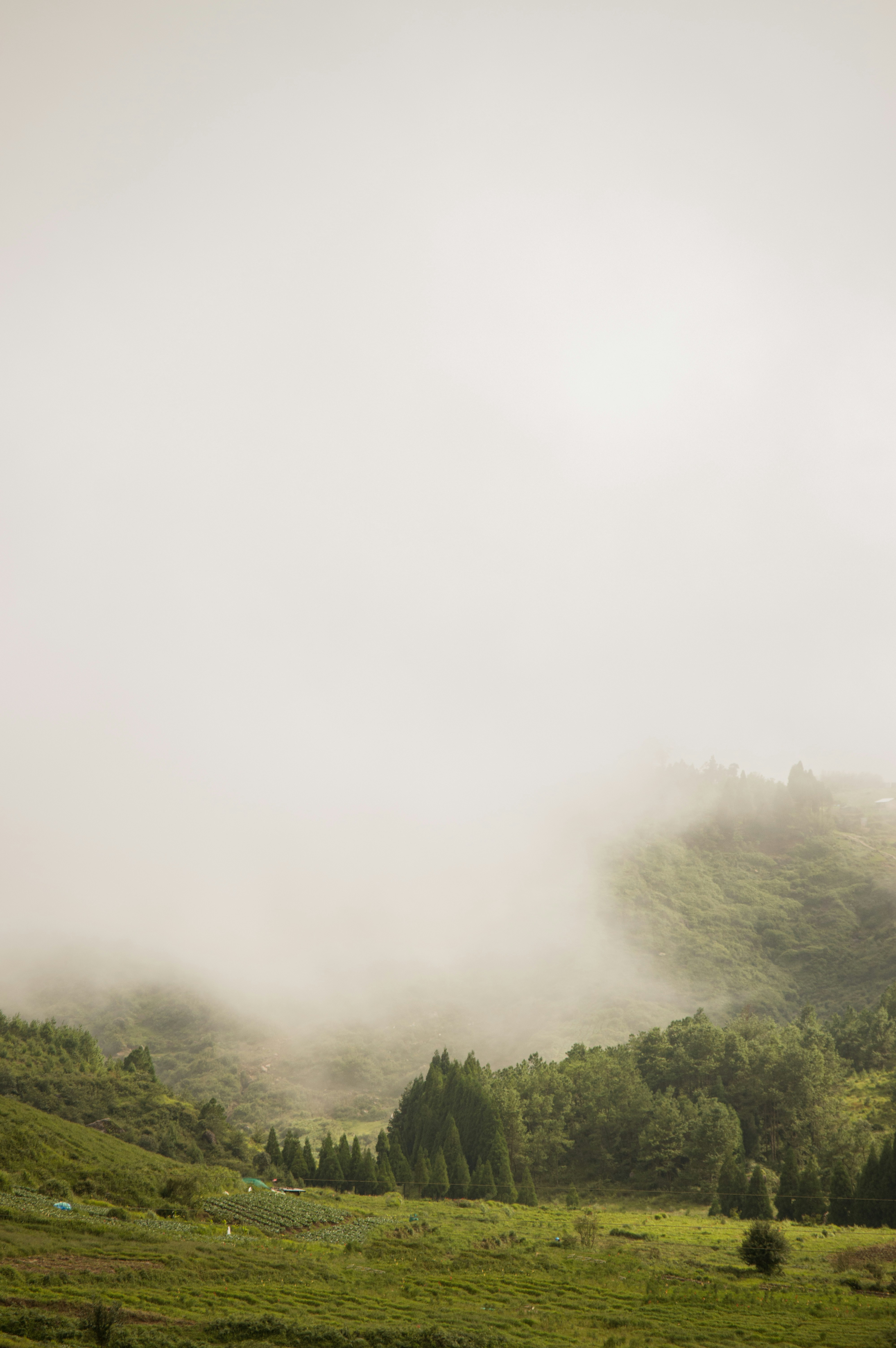 Photo by photography__from__sidd