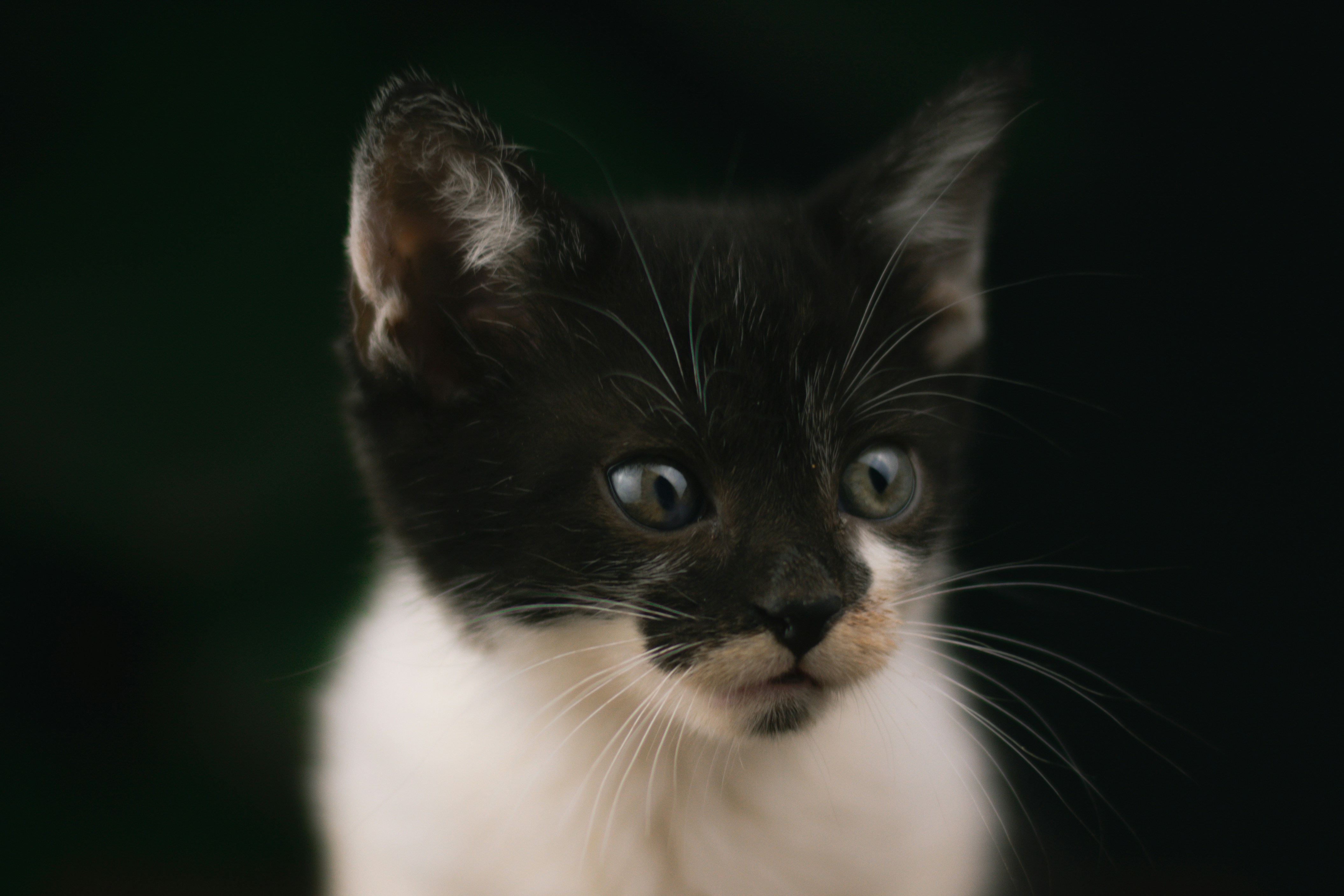 Photo by meaghcafferty