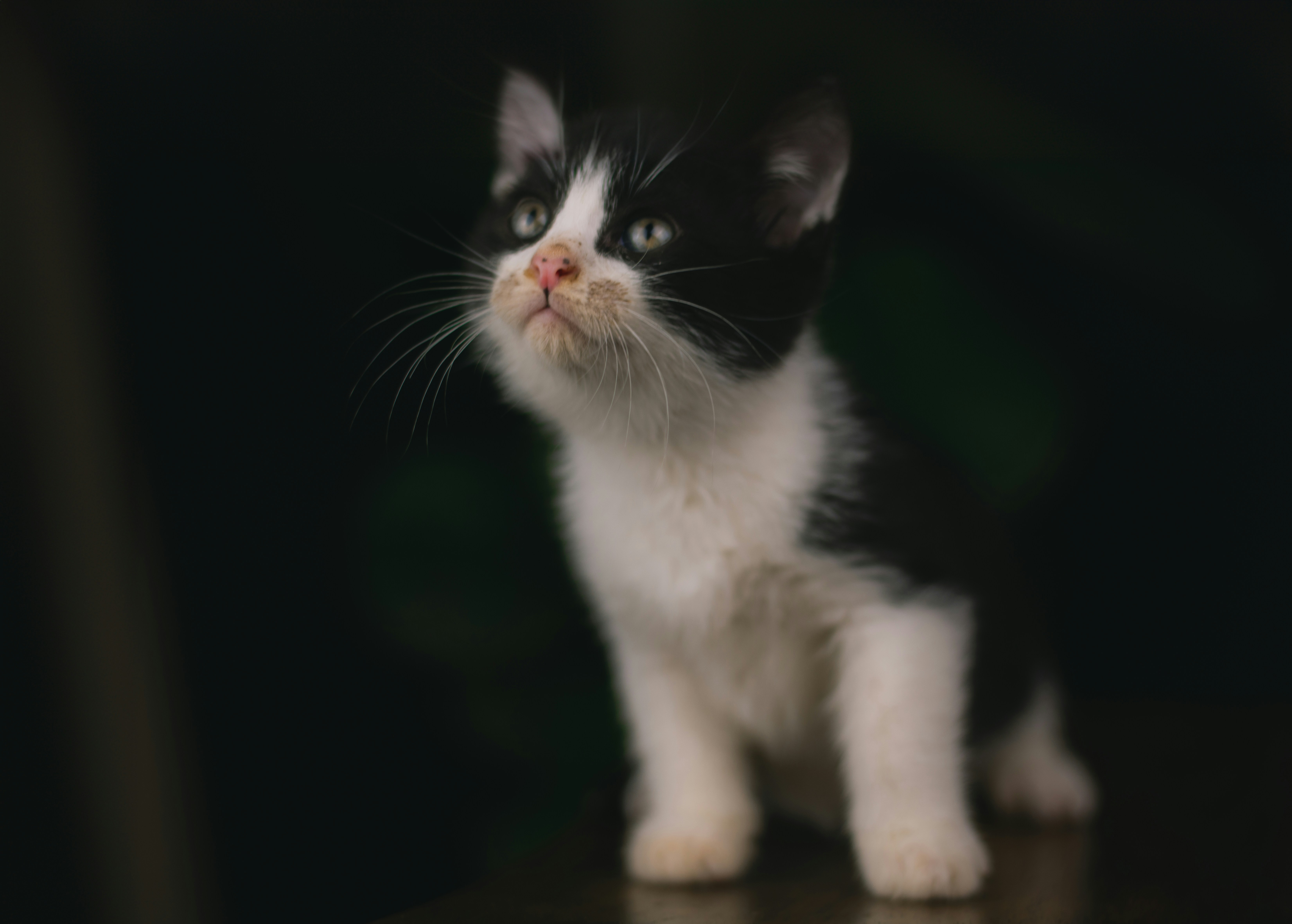 Photo by meaghcafferty