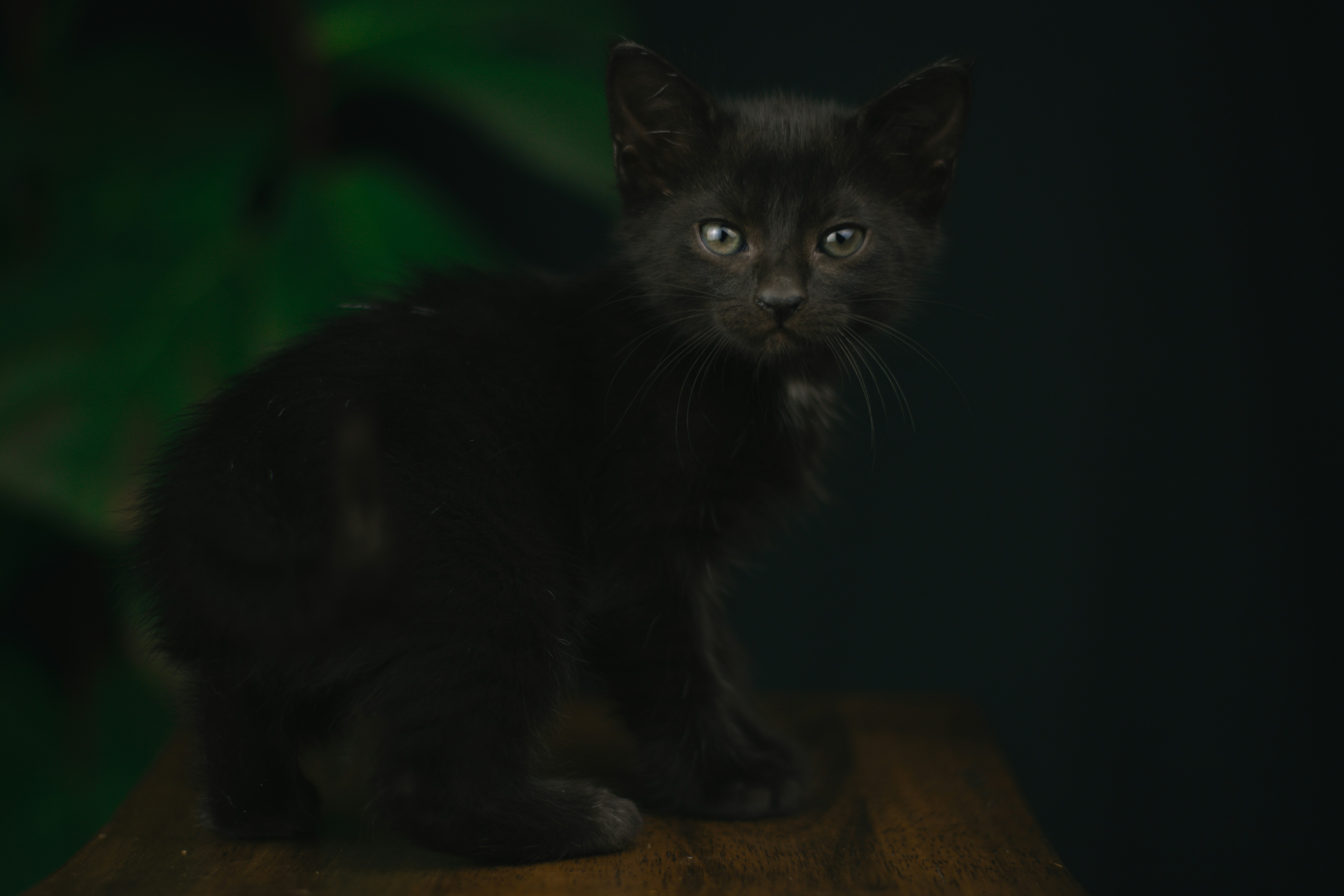 Photo by meaghcafferty