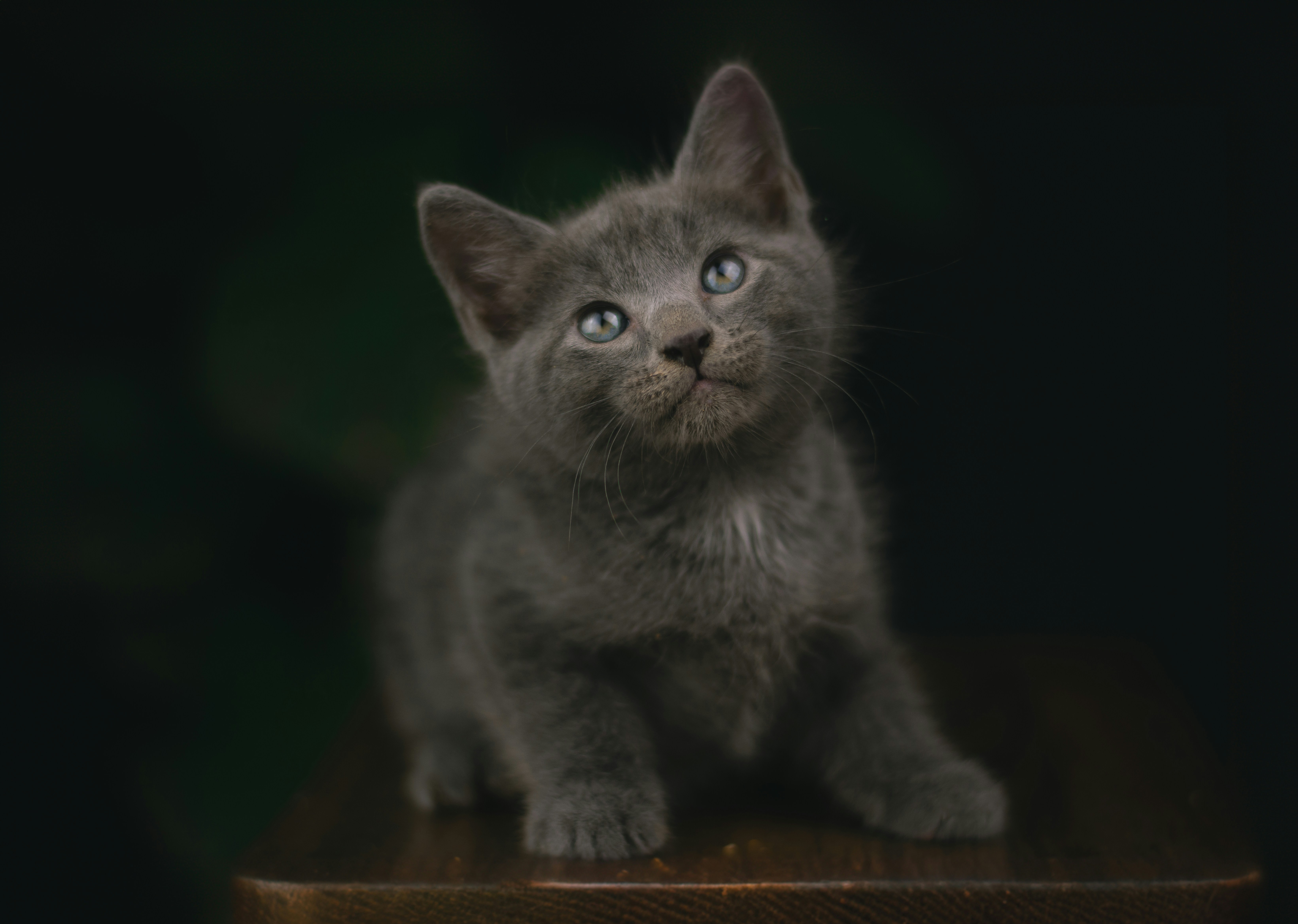 Photo by meaghcafferty