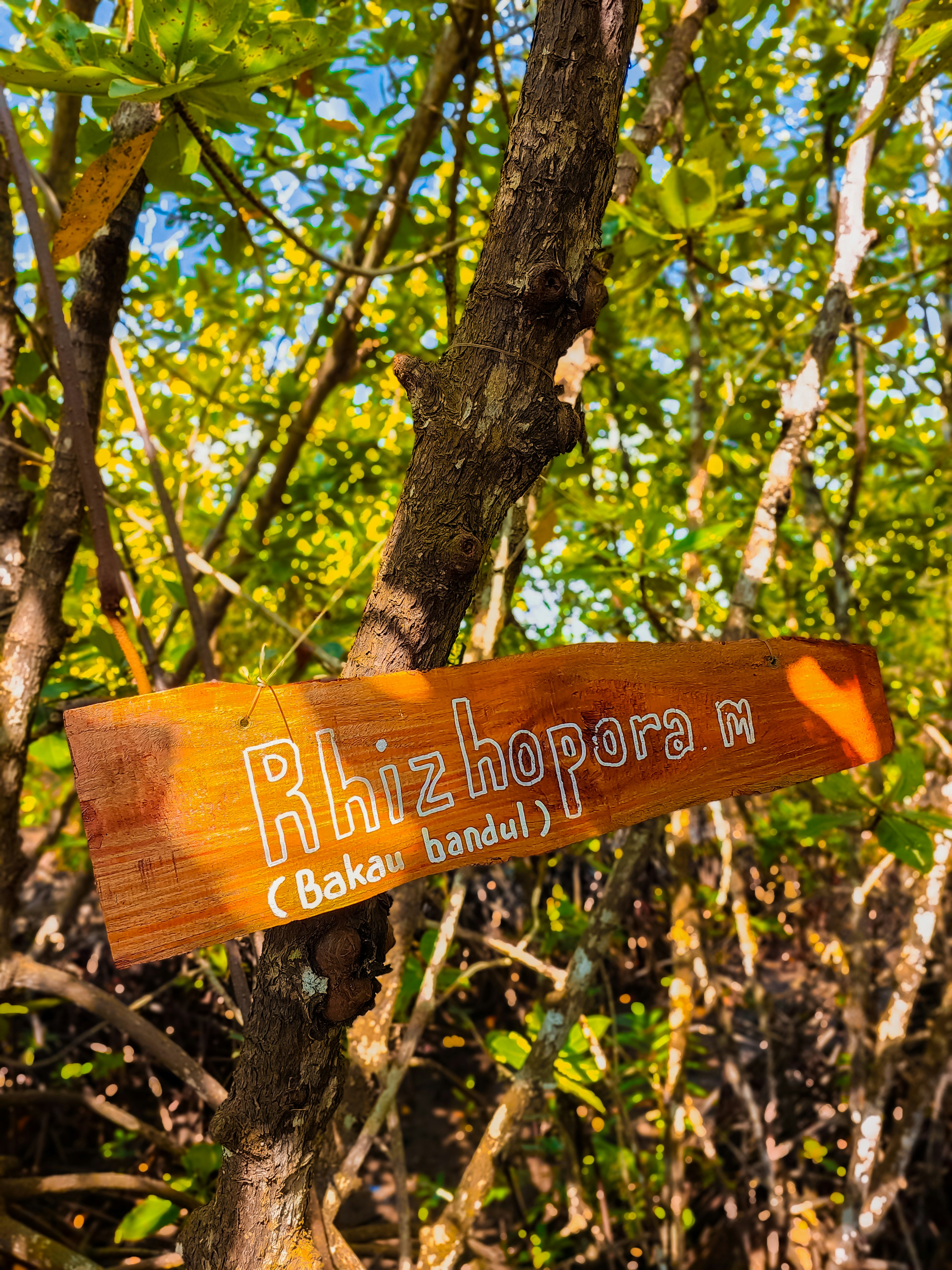 A wooden sign hanging from the side of a tree