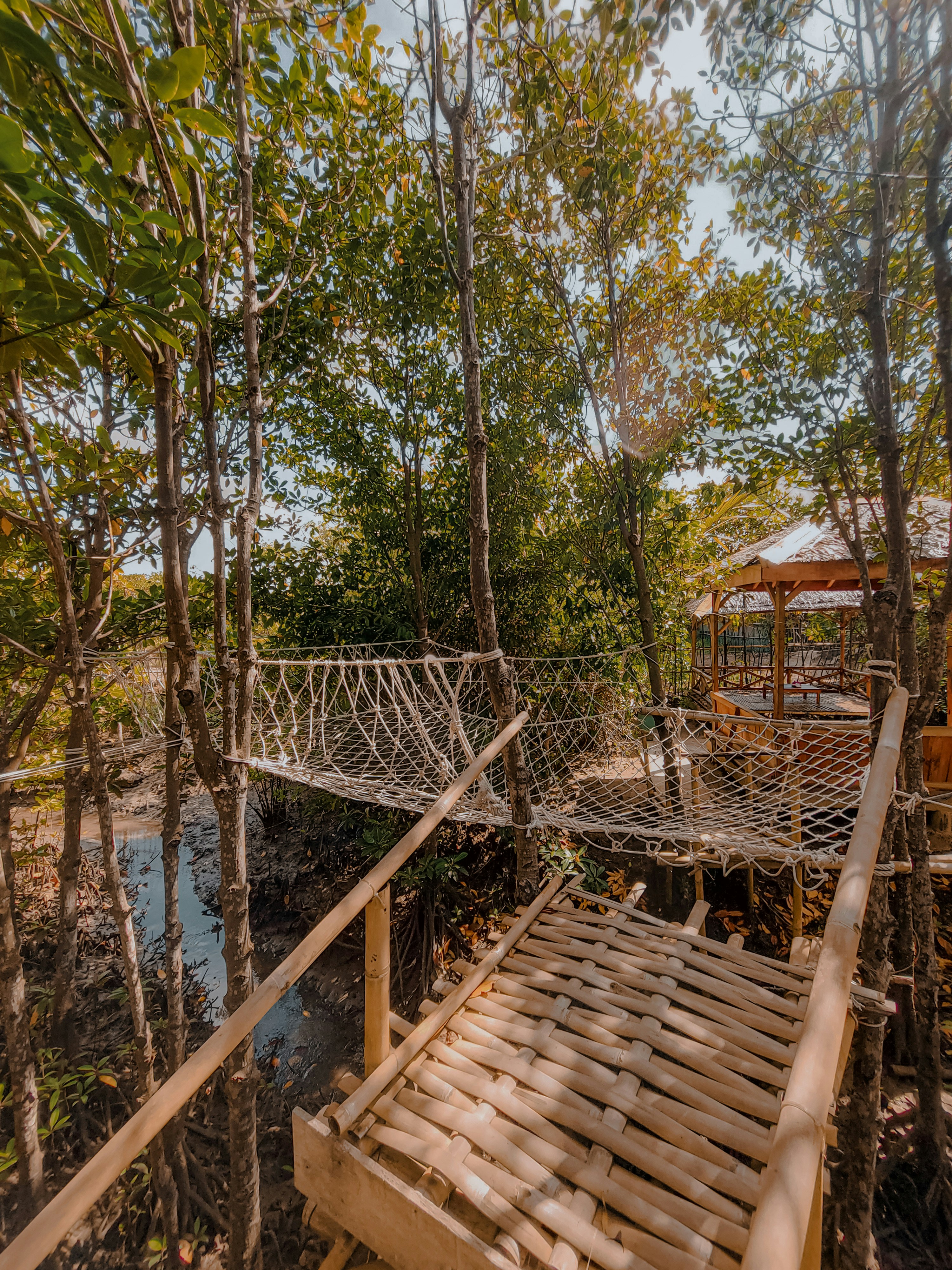 A wooden bridge in the middle of a forest